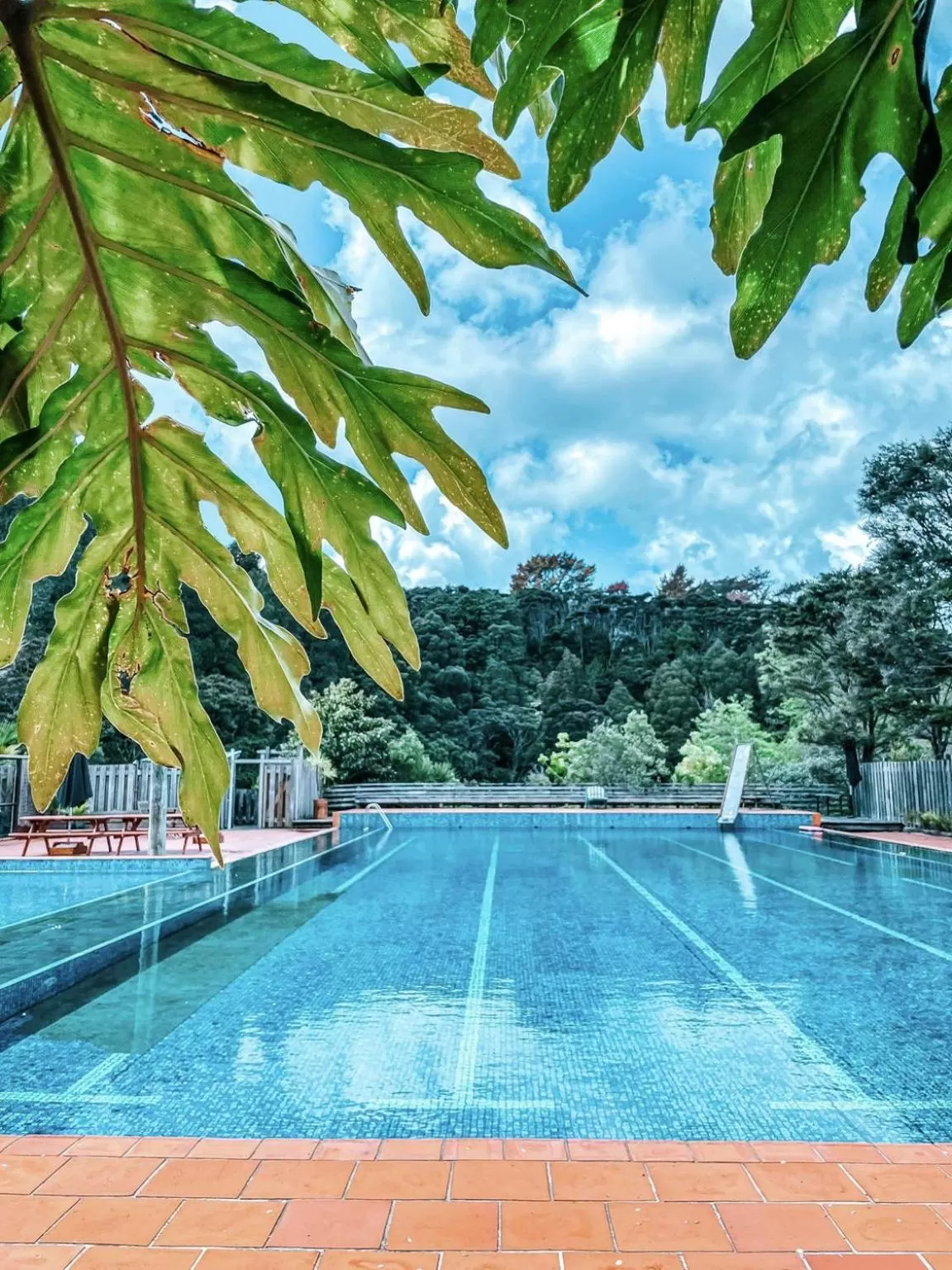 Spa and wellness centre/facilities, Swimming Pool in Kawai Purapura Yoga Retreat Centre