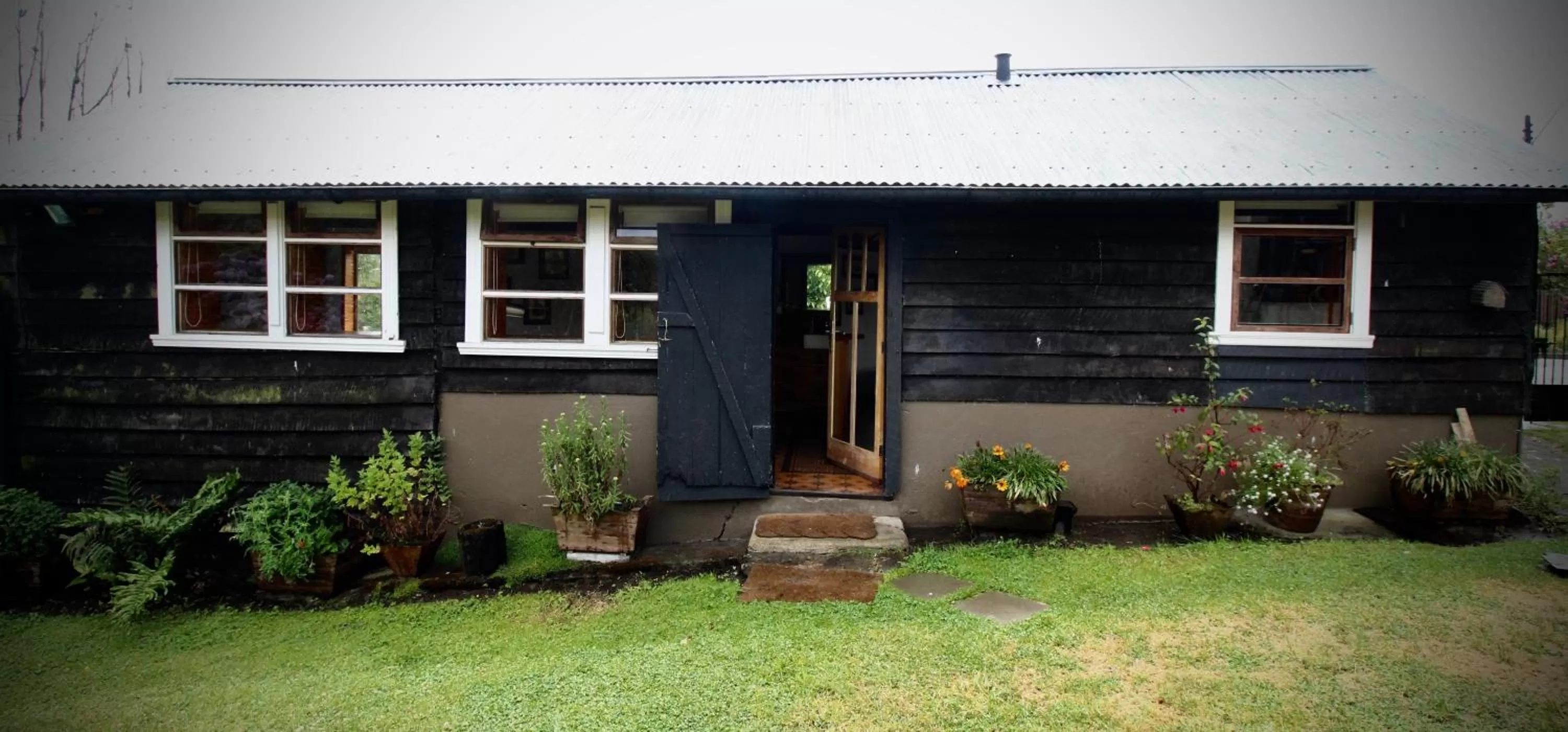 Garden in Hotel Boutique Casa Werner