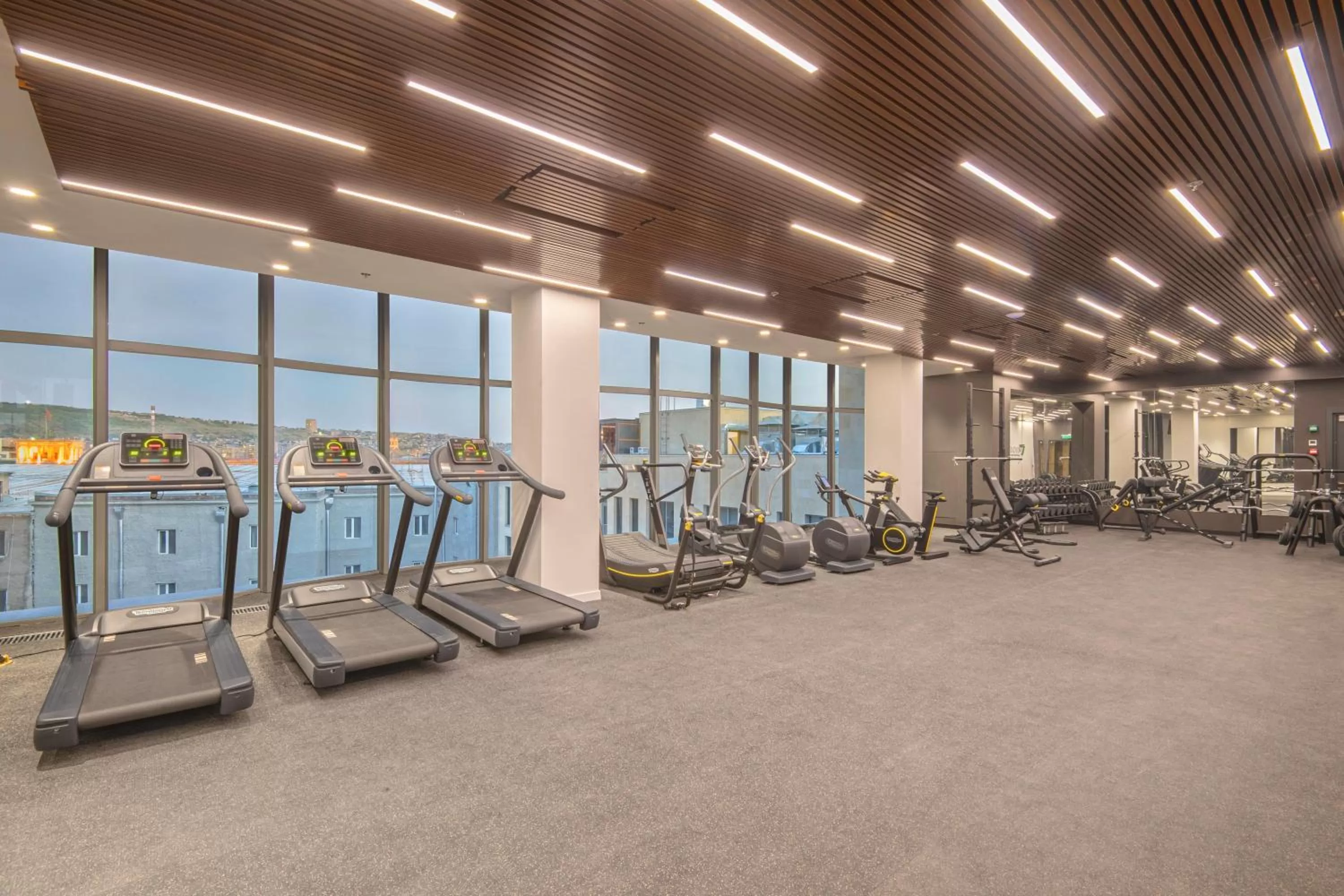 Fitness centre/facilities in Holiday Inn Yerevan - Republic Square by IHG