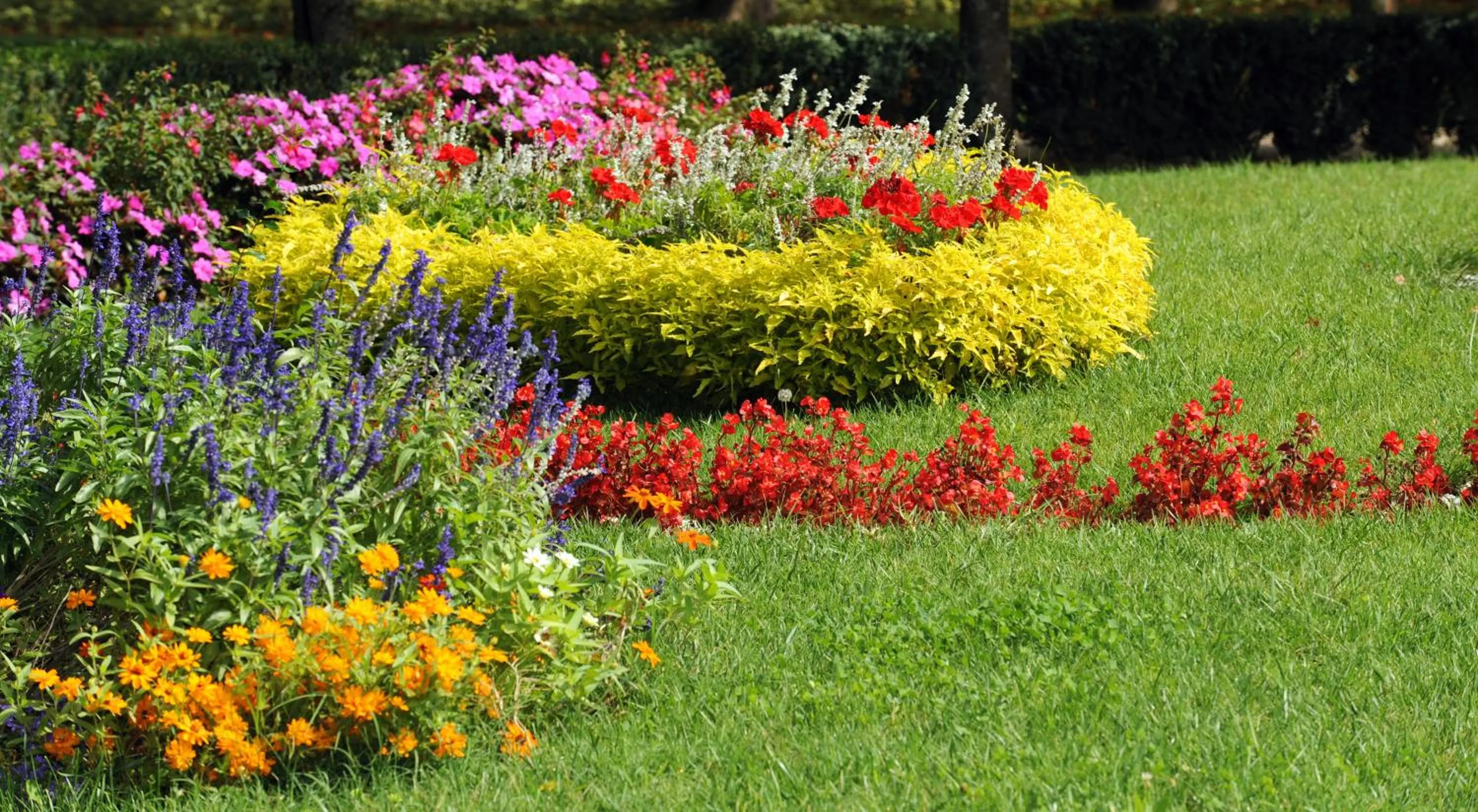 Garden in Casa Romagnosi