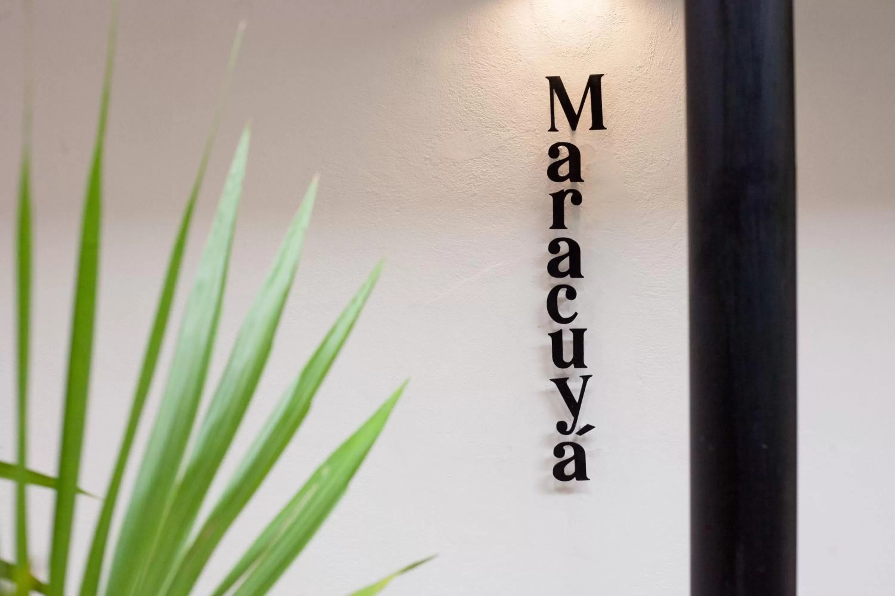 Family Studio in Latino Hotel Boutique