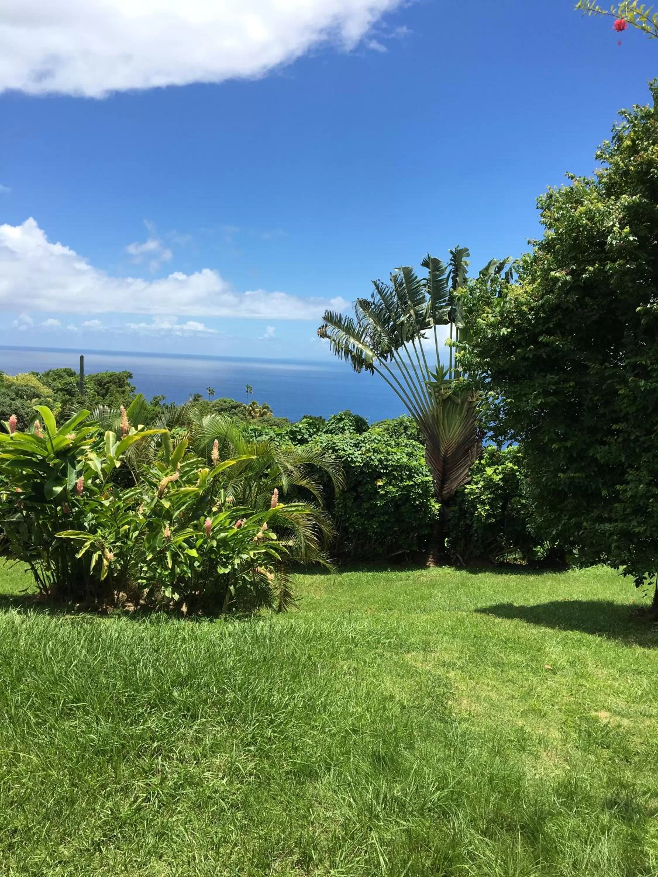Villa Cajou chambres d'hôtes chez l'habitant et Zanzibar cottage