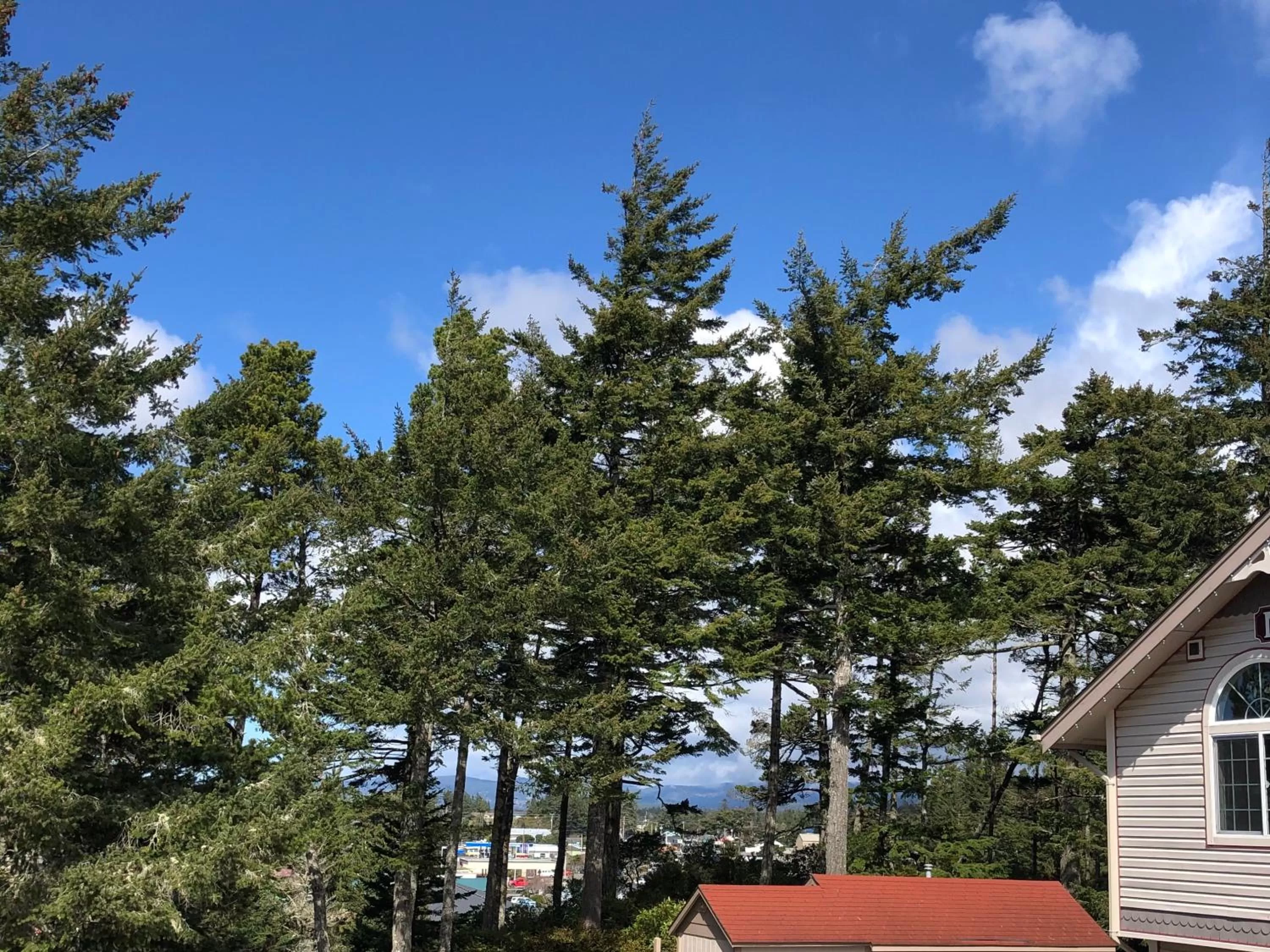 Family Room in The Landmark Inn