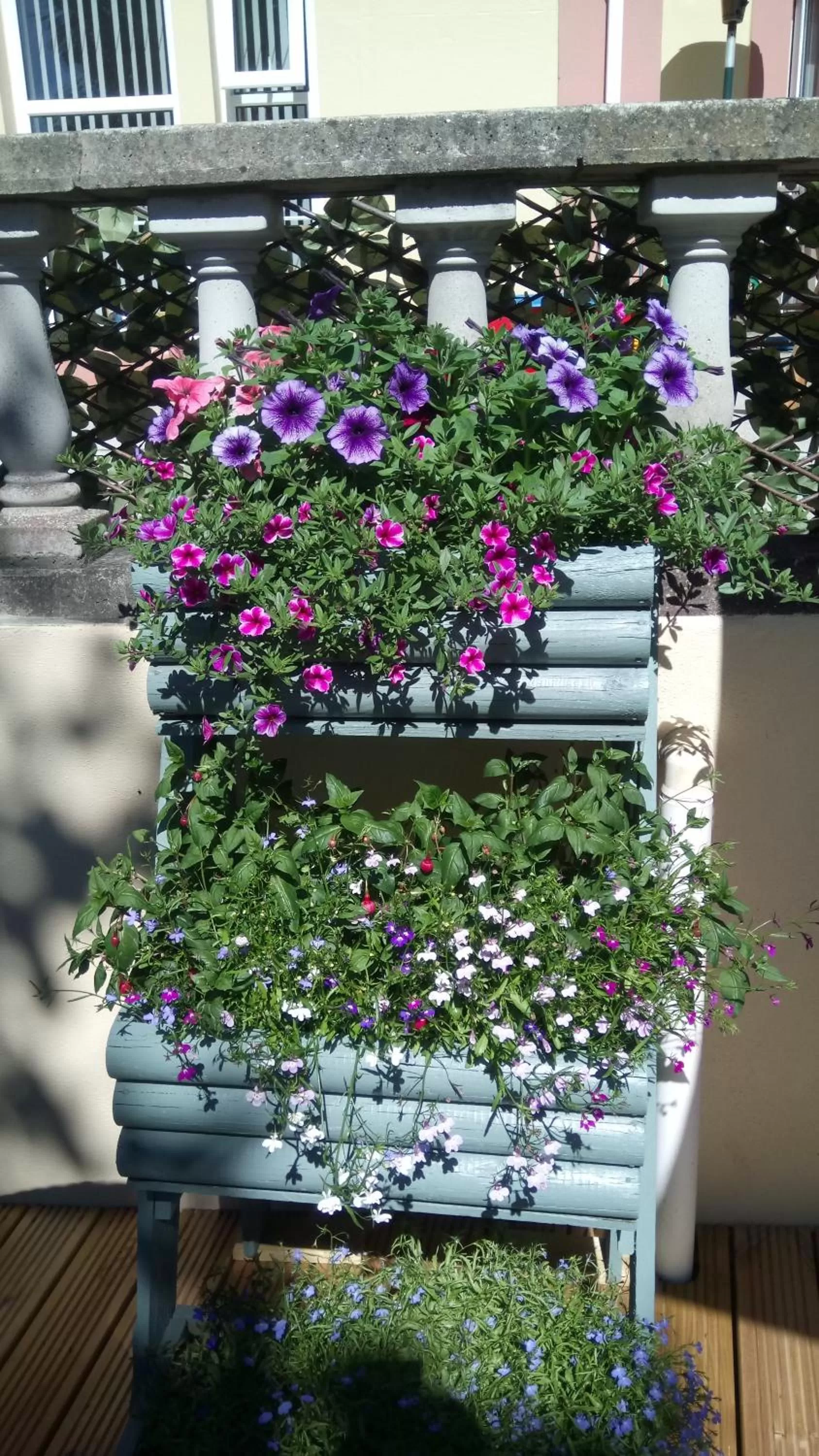 Garden in Blenheim House