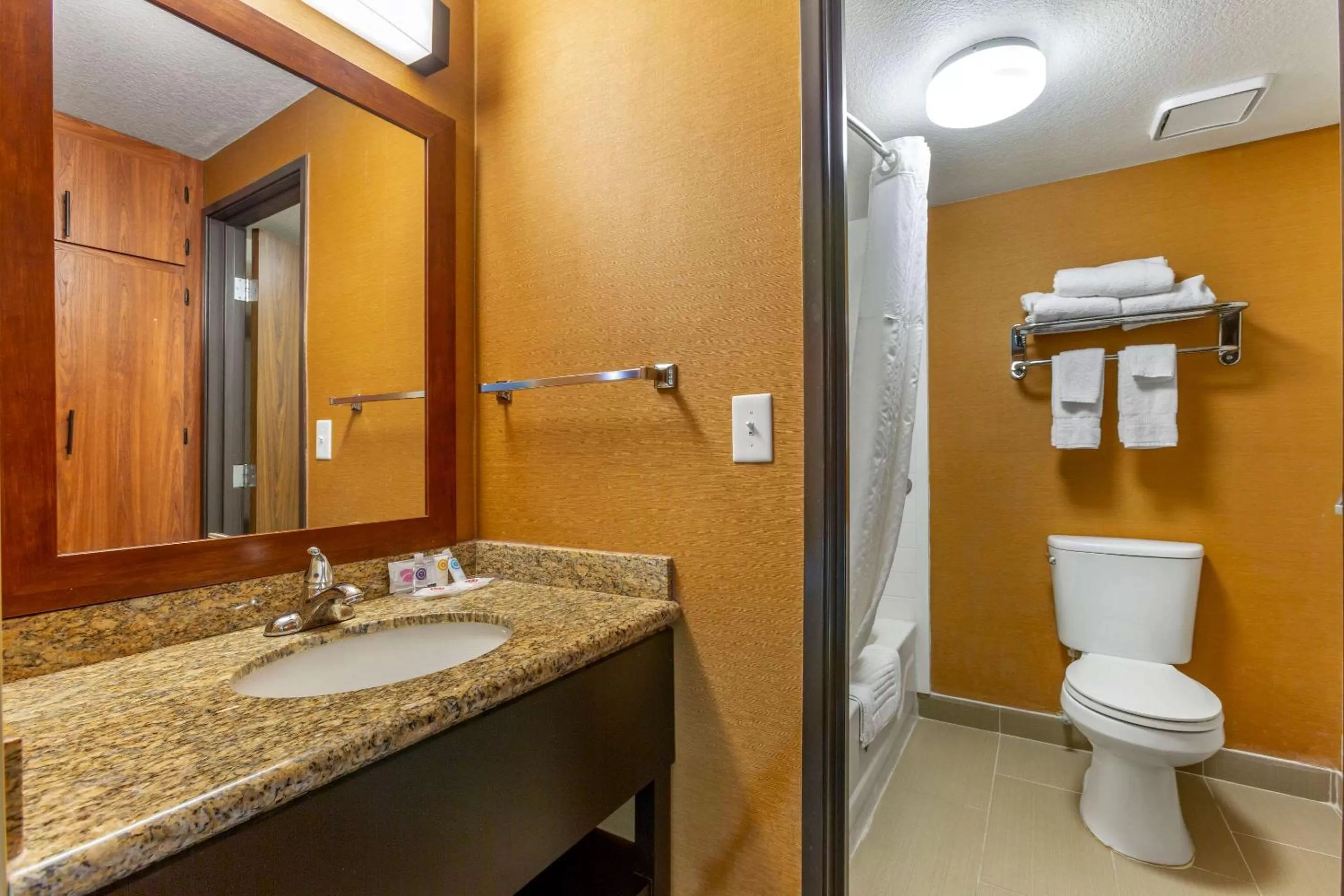 Bathroom in Comfort Inn & Suites Phoenix North - Deer Valley