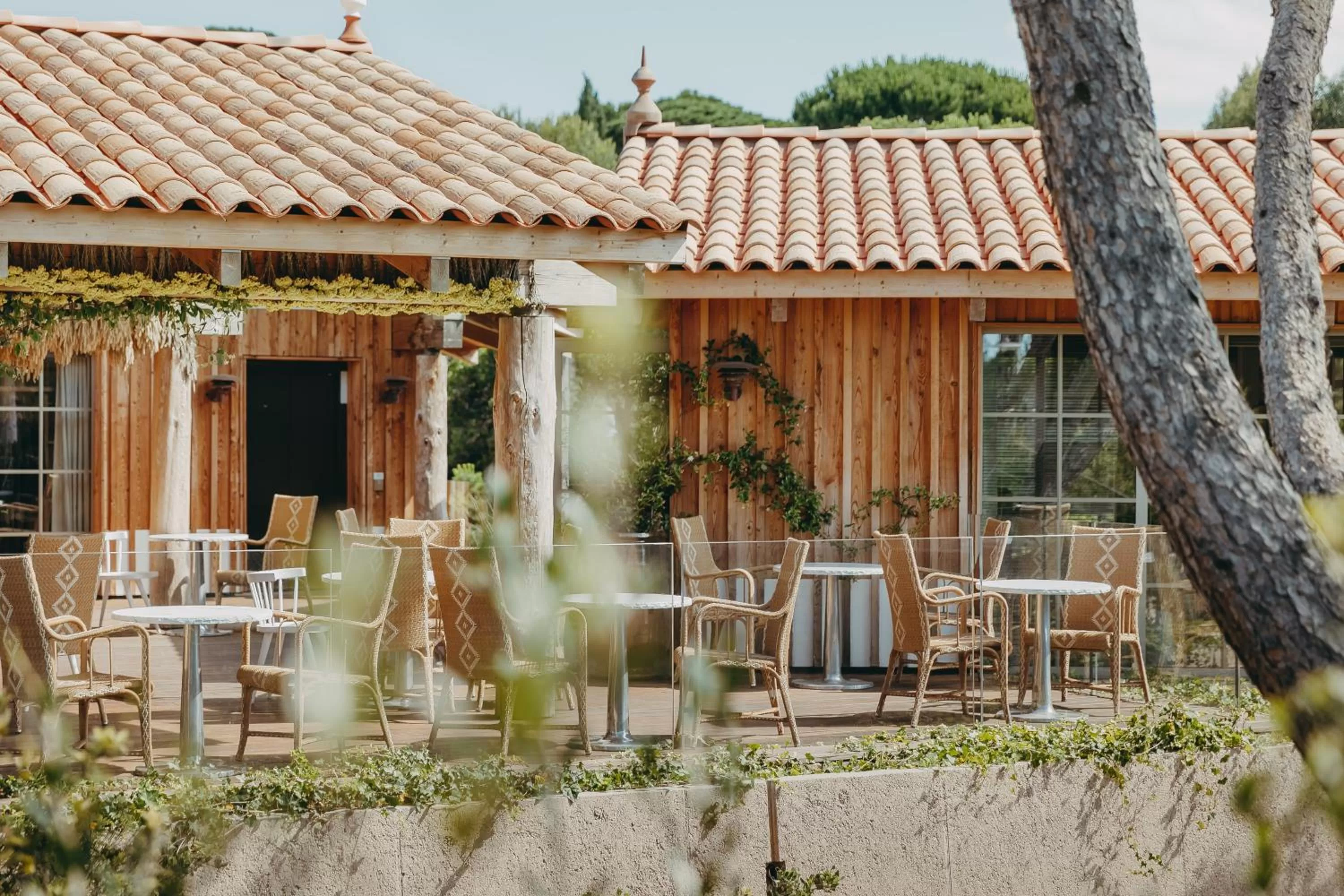 Patio in Lily of the Valley