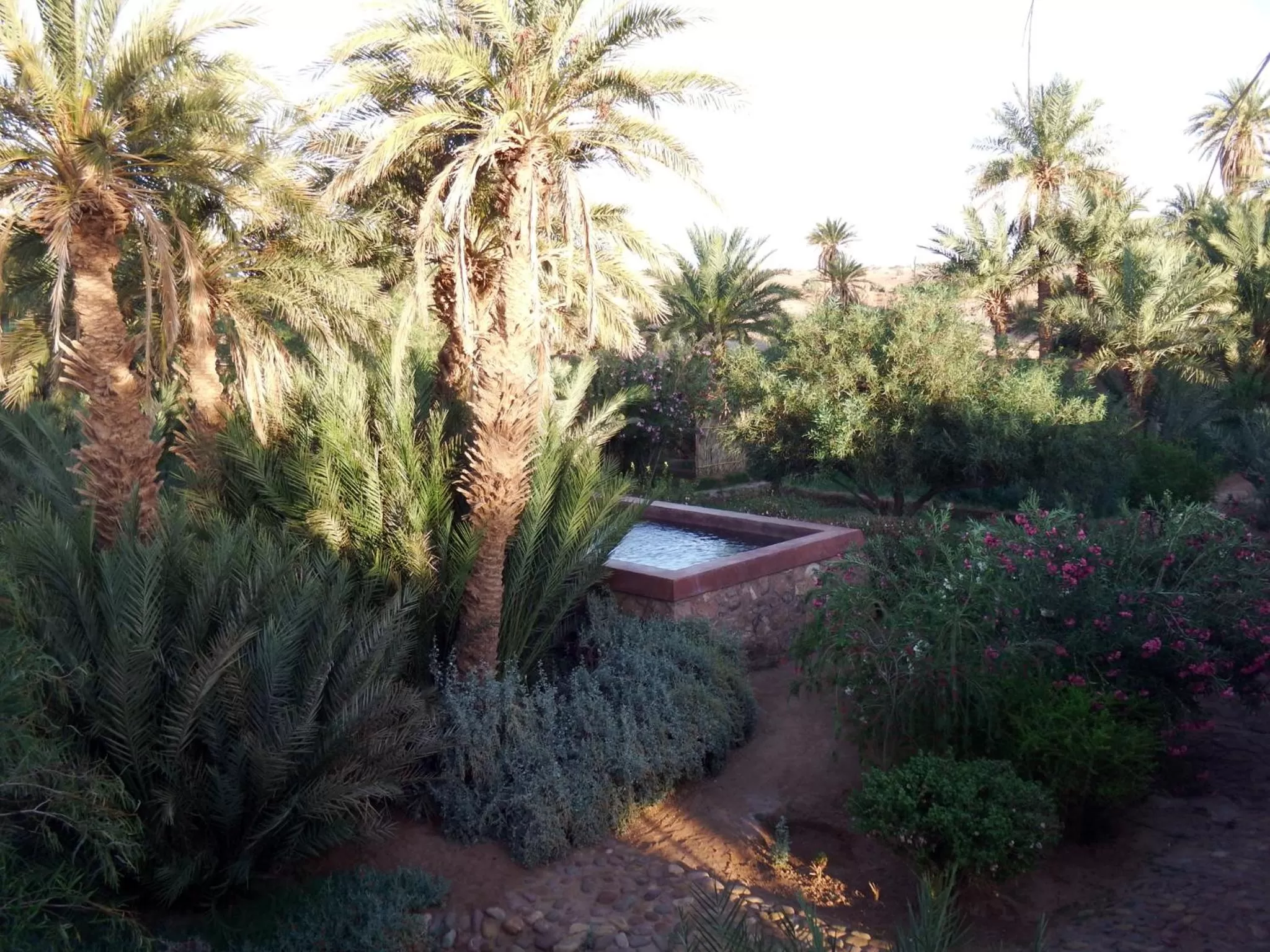 Garden in Dar Paru