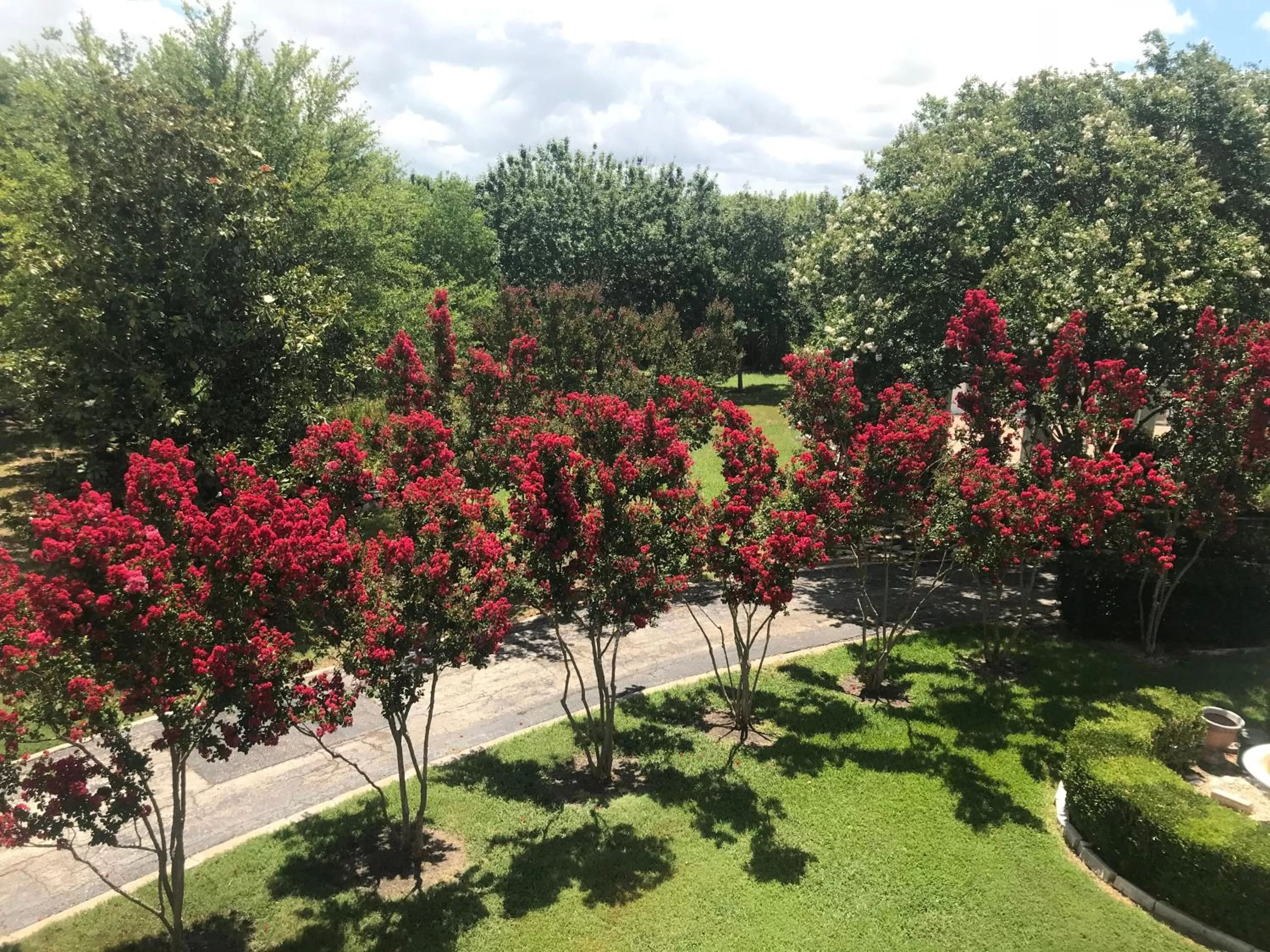 The Plantation House Boutique Inn