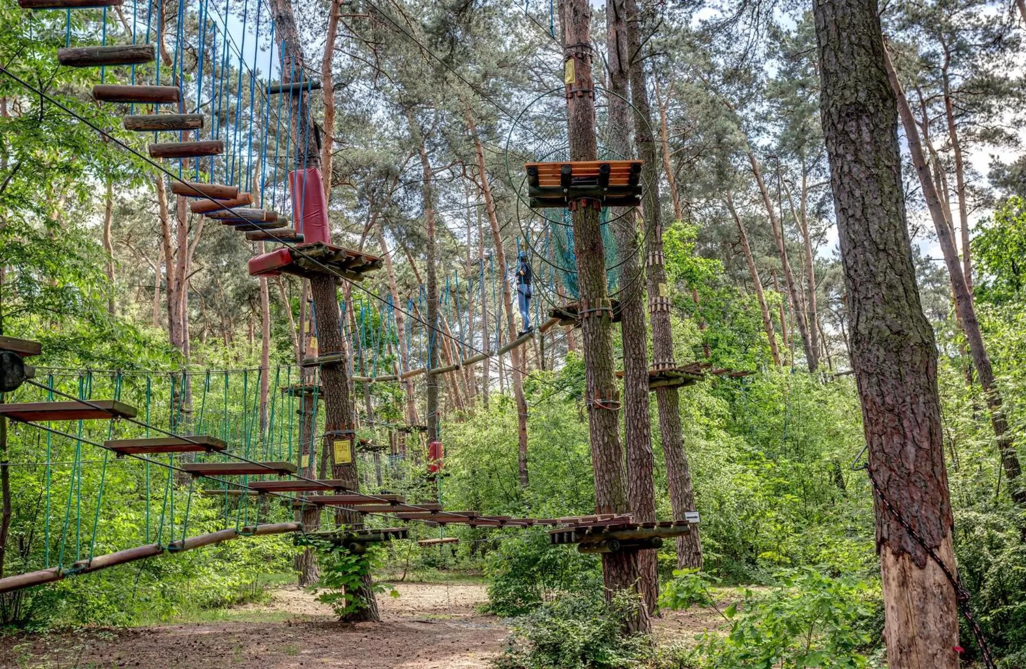 Area and facilities in Holiday Inn Resort Warsaw Józefów by IHG