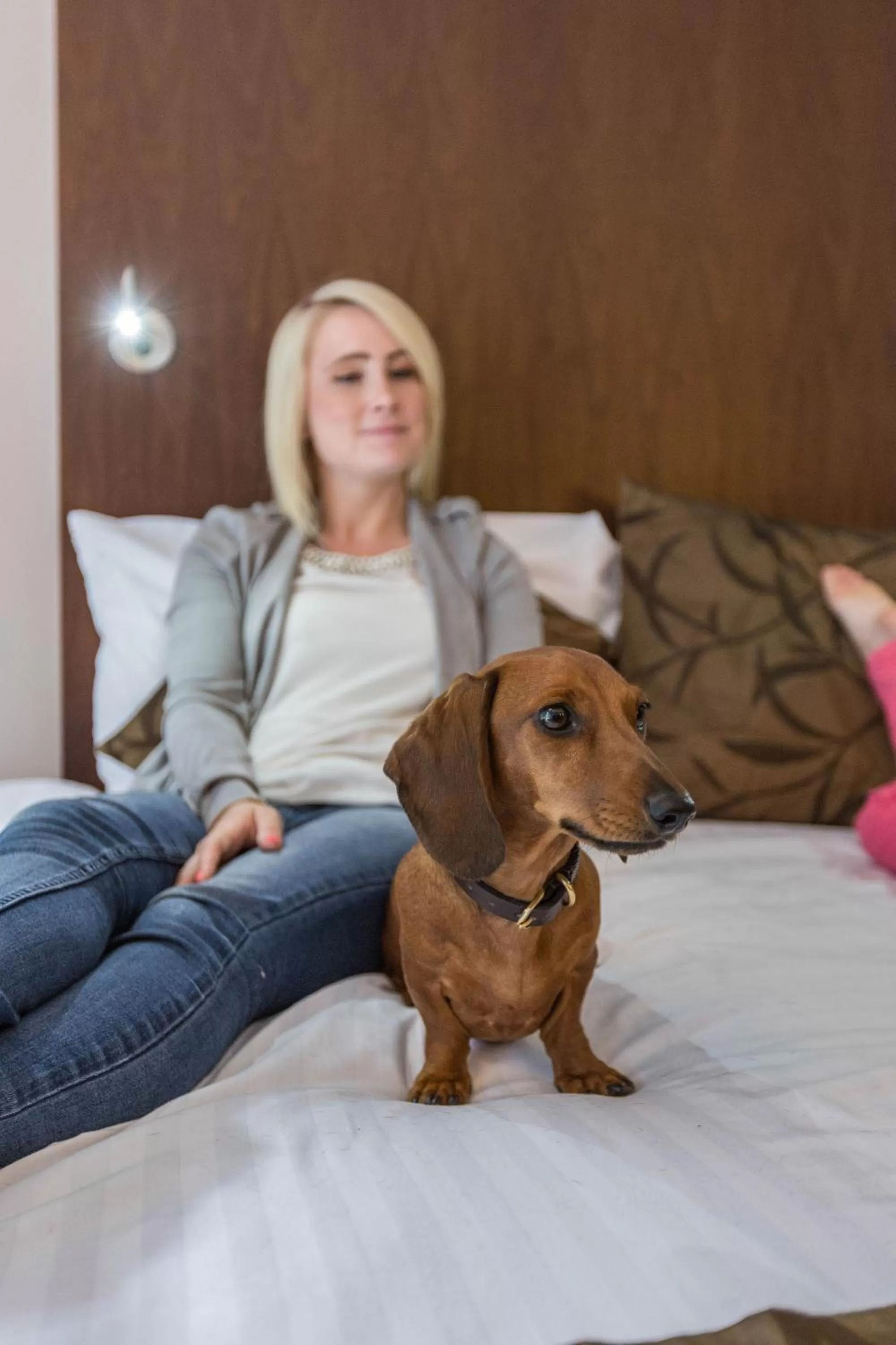 Pets in Aubrey Park Hotel