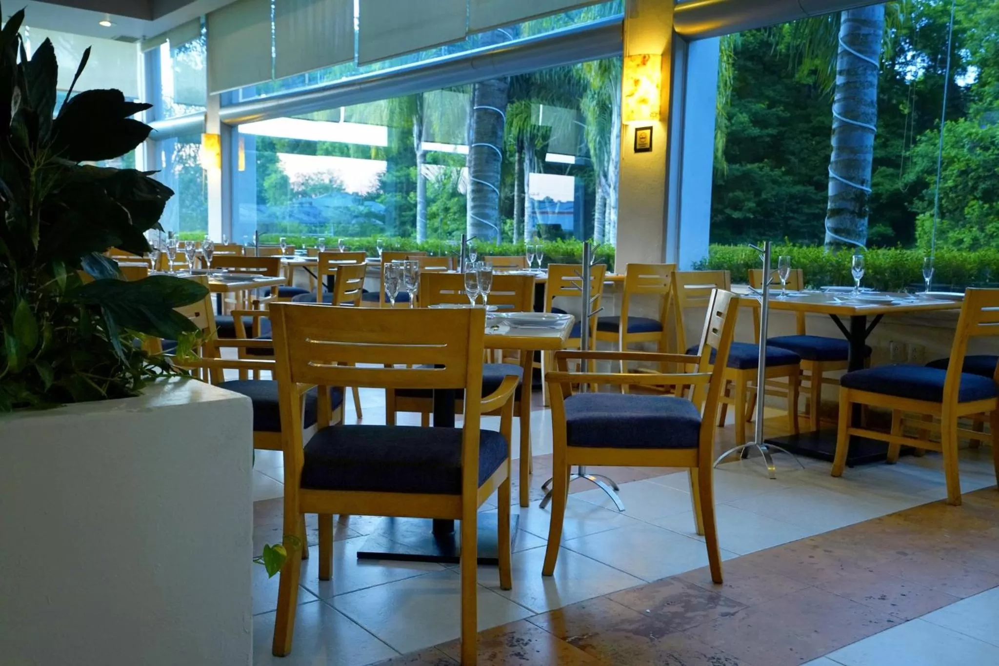 Restaurant/places to eat in Gamma by Fiesta Americ Xalapa Nubara