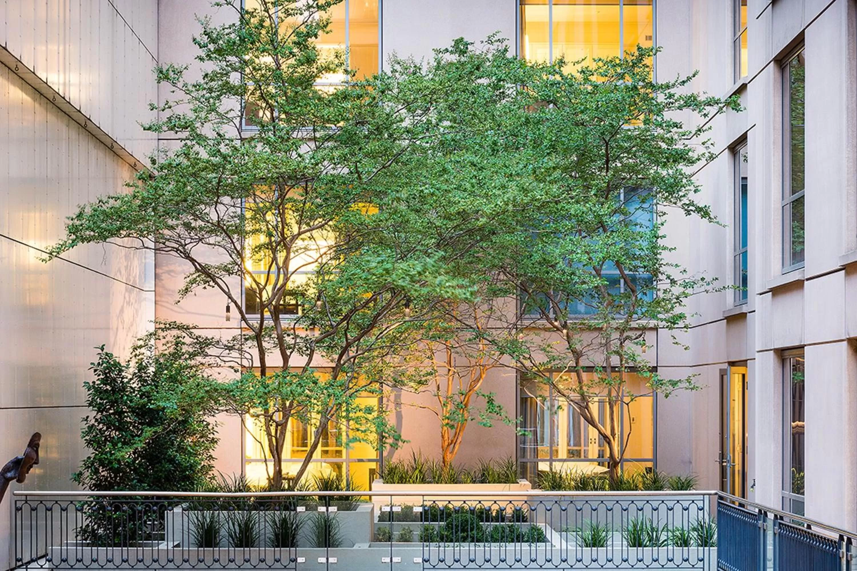 Photo of the whole room in The Westin Melbourne
