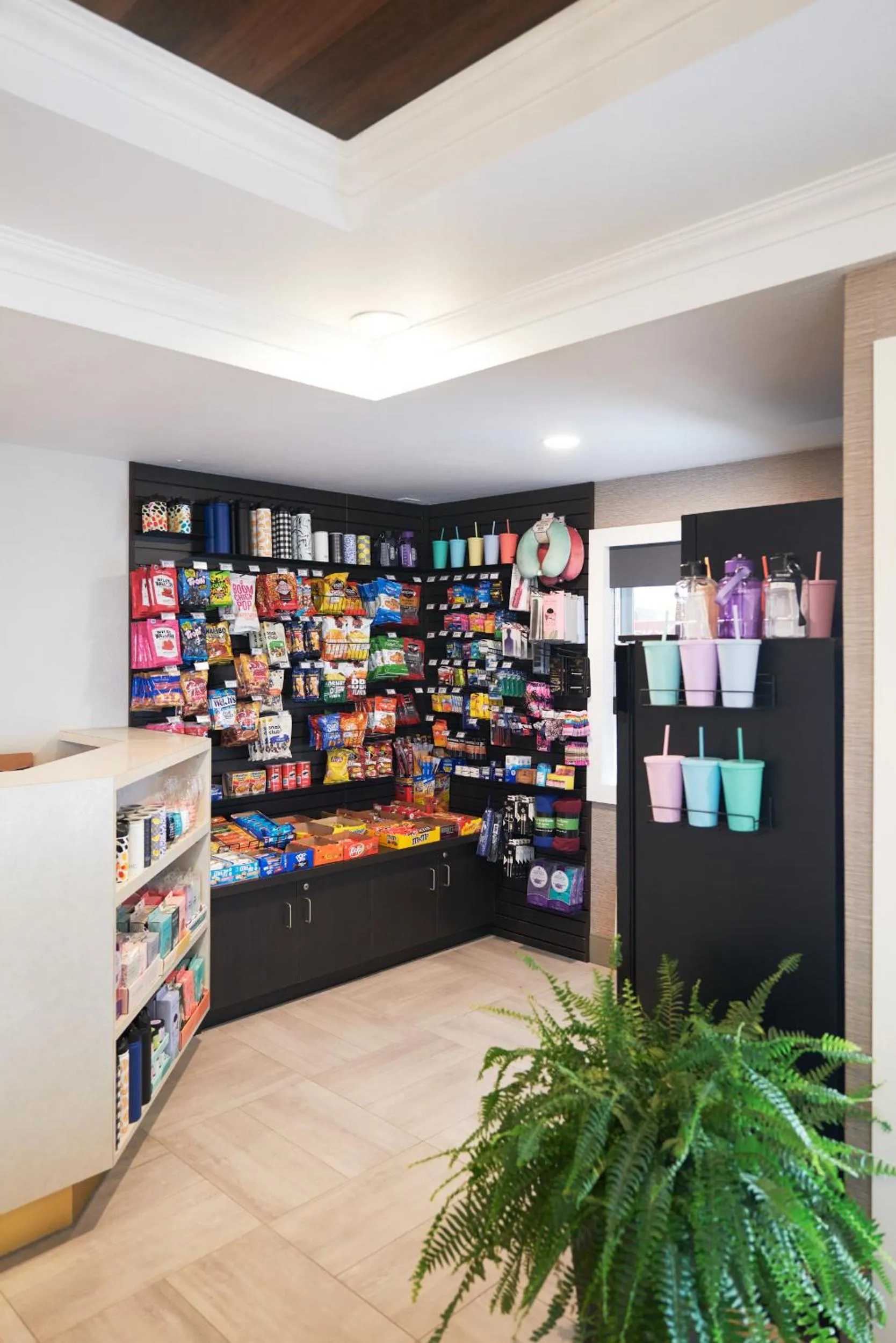 Shopping Area, Supermarket/Shops in Americas Best Value Inn New Florence