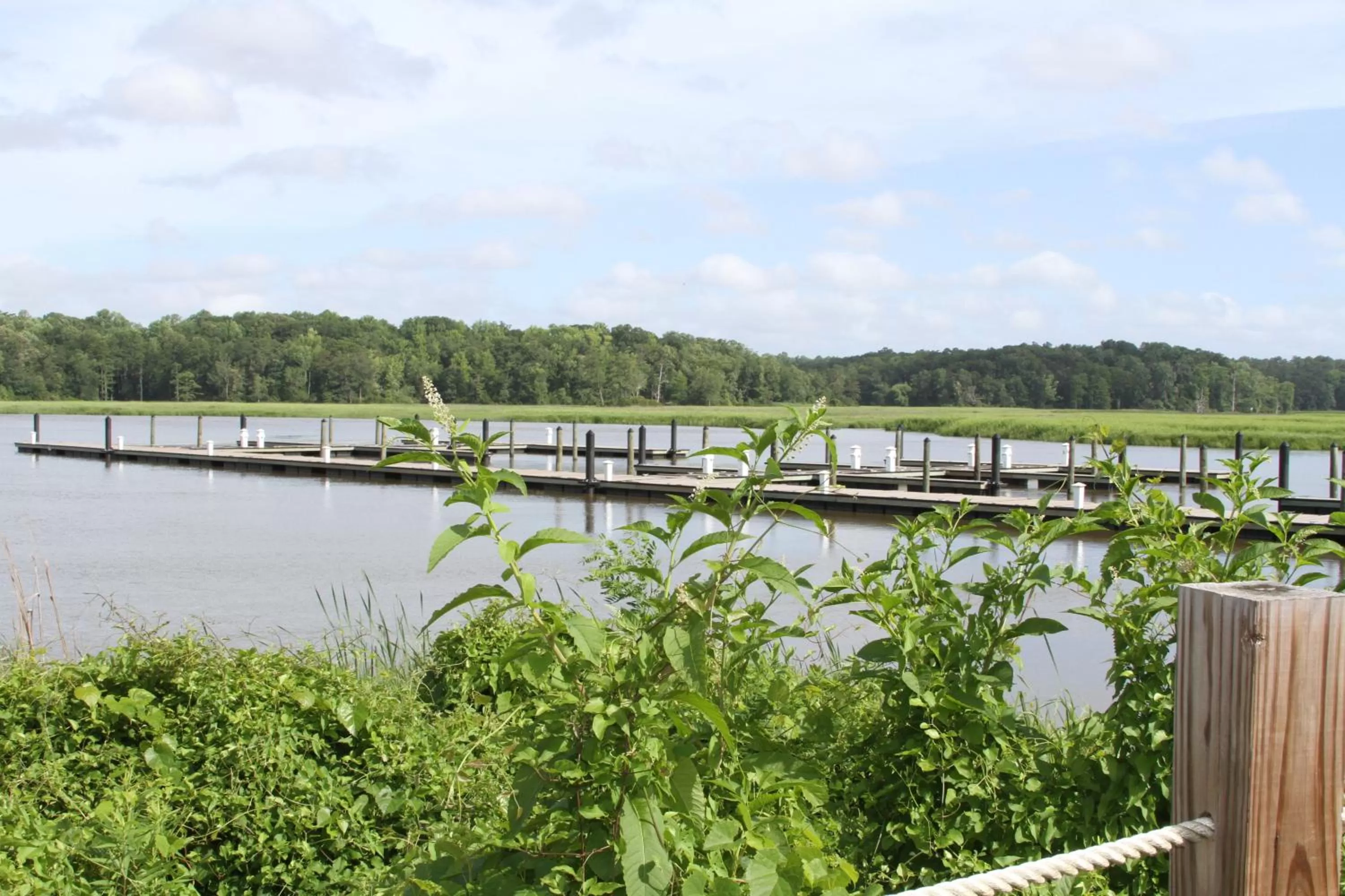 River view in Surry Seafood Company