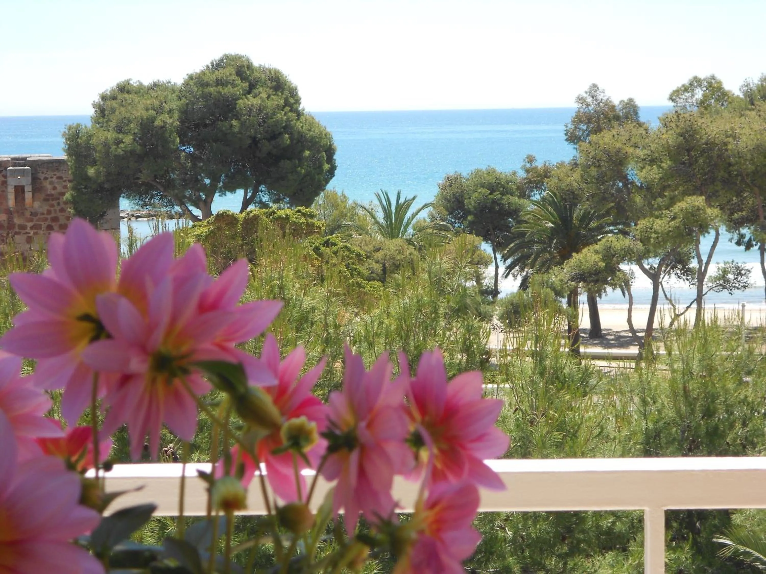 View (from property/room) in Hotel Tramontana