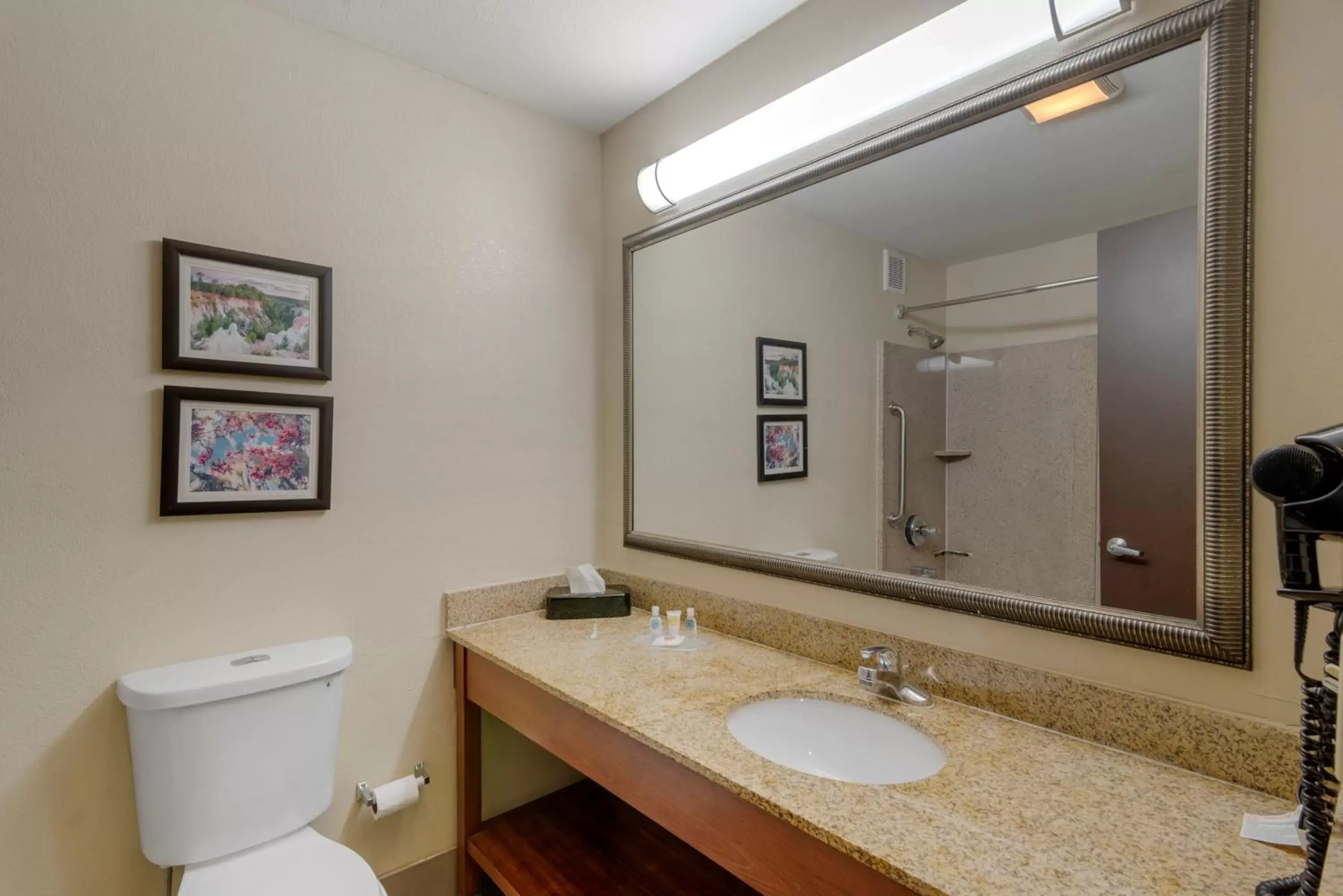 King Suite - Non-Smoking in Comfort Suites Columbus State University Area King Suite - Non-Smoking in Comfort Suites Columbus State University Area