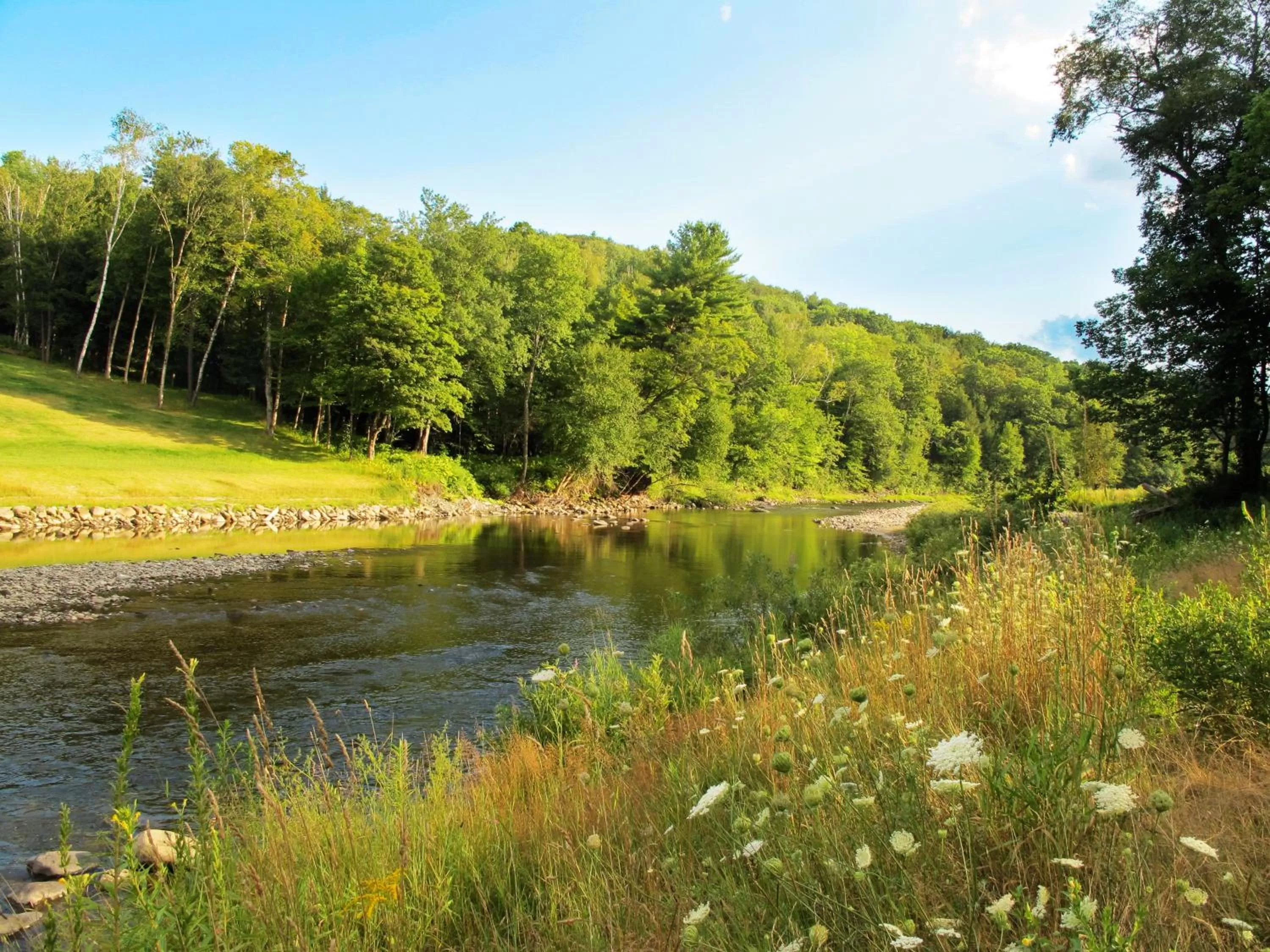 View (from property/room) in 506 On the River Inn Woodstock
