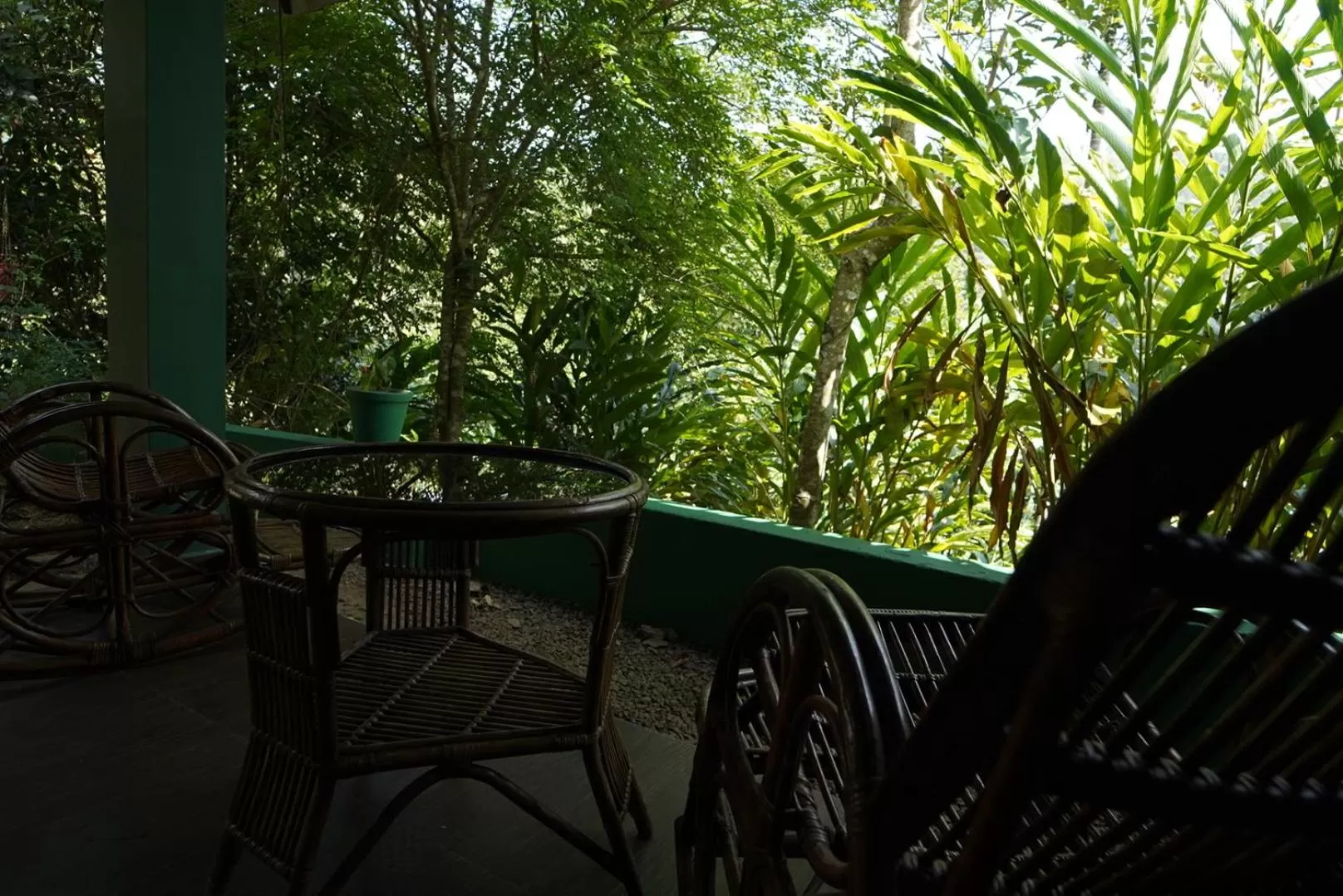 View (from property/room) in Edens Munnar