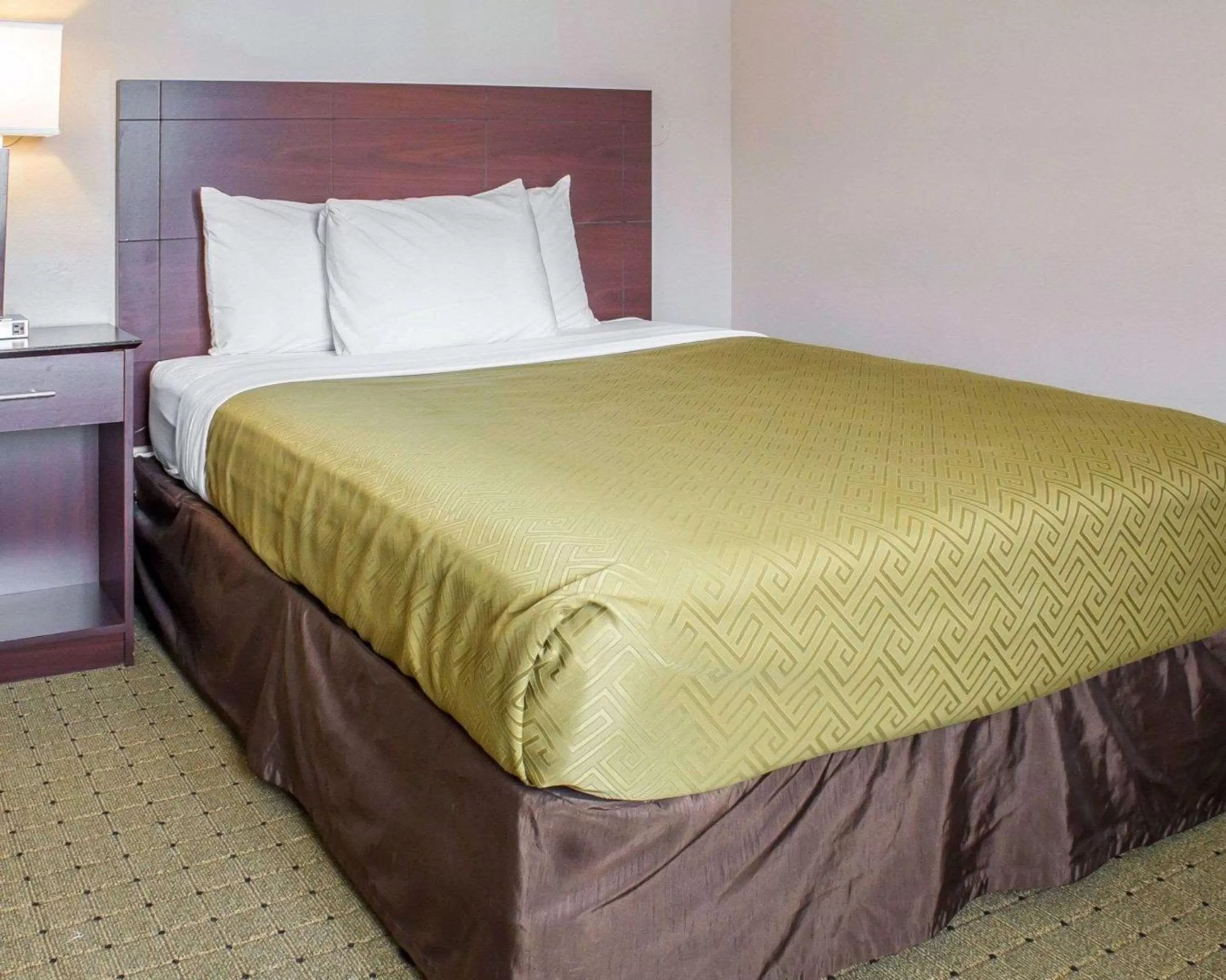 Photo of the whole room, Bed in Econo Lodge