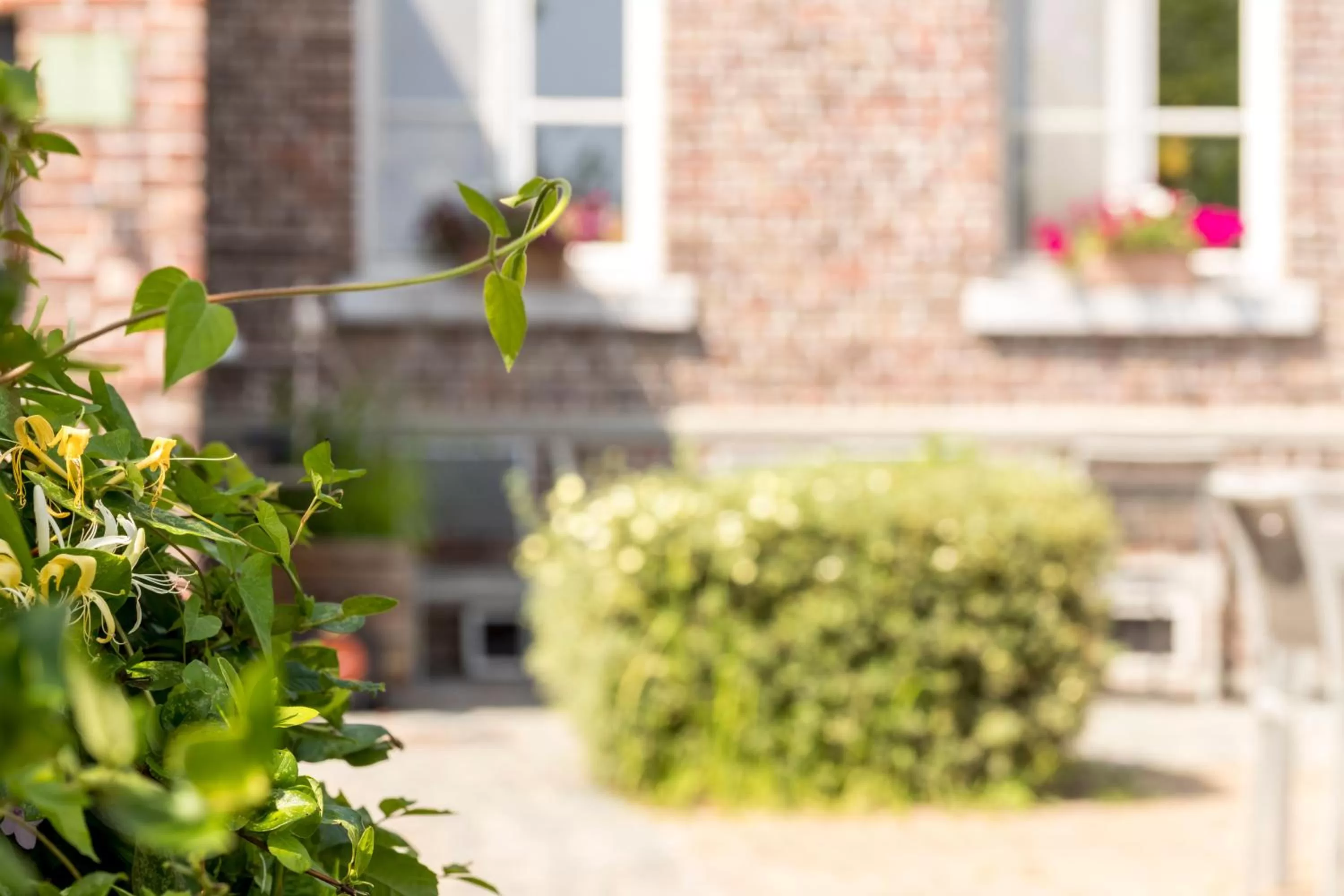 Property building in De Pastorie