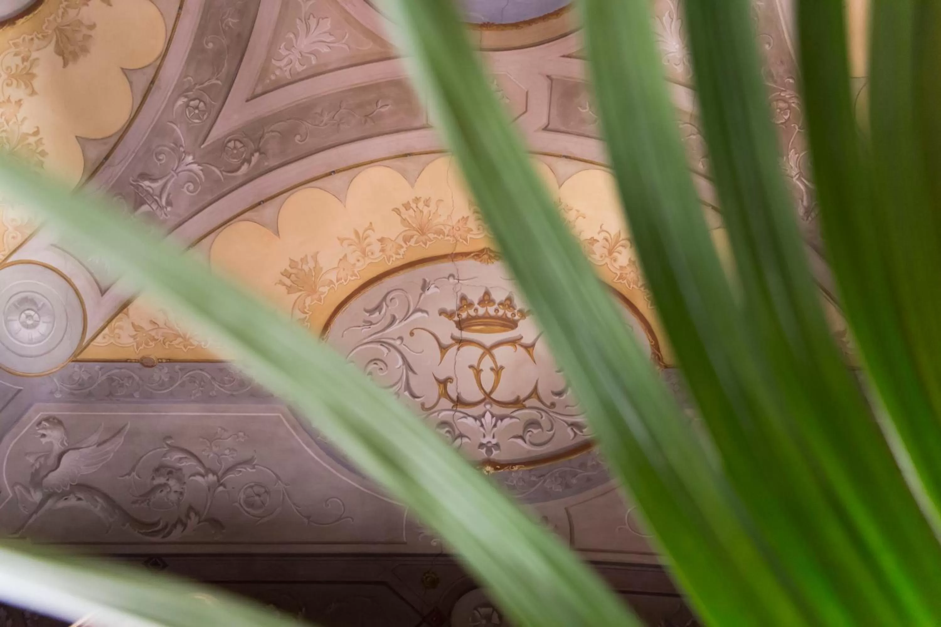 Bedroom in Martius Private Suites Hotel