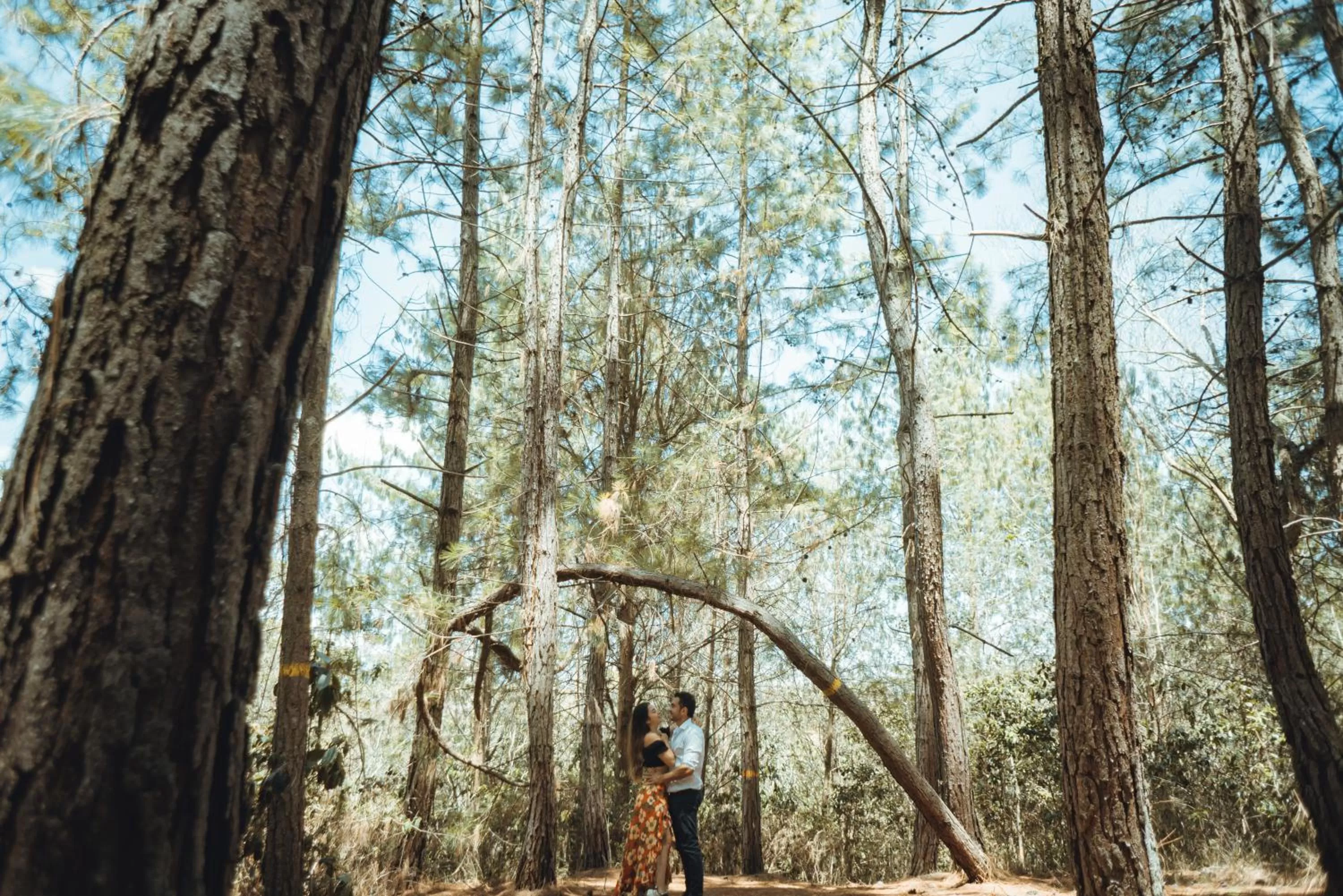 Property building in Hotel Finca Buenos Aires Barichara