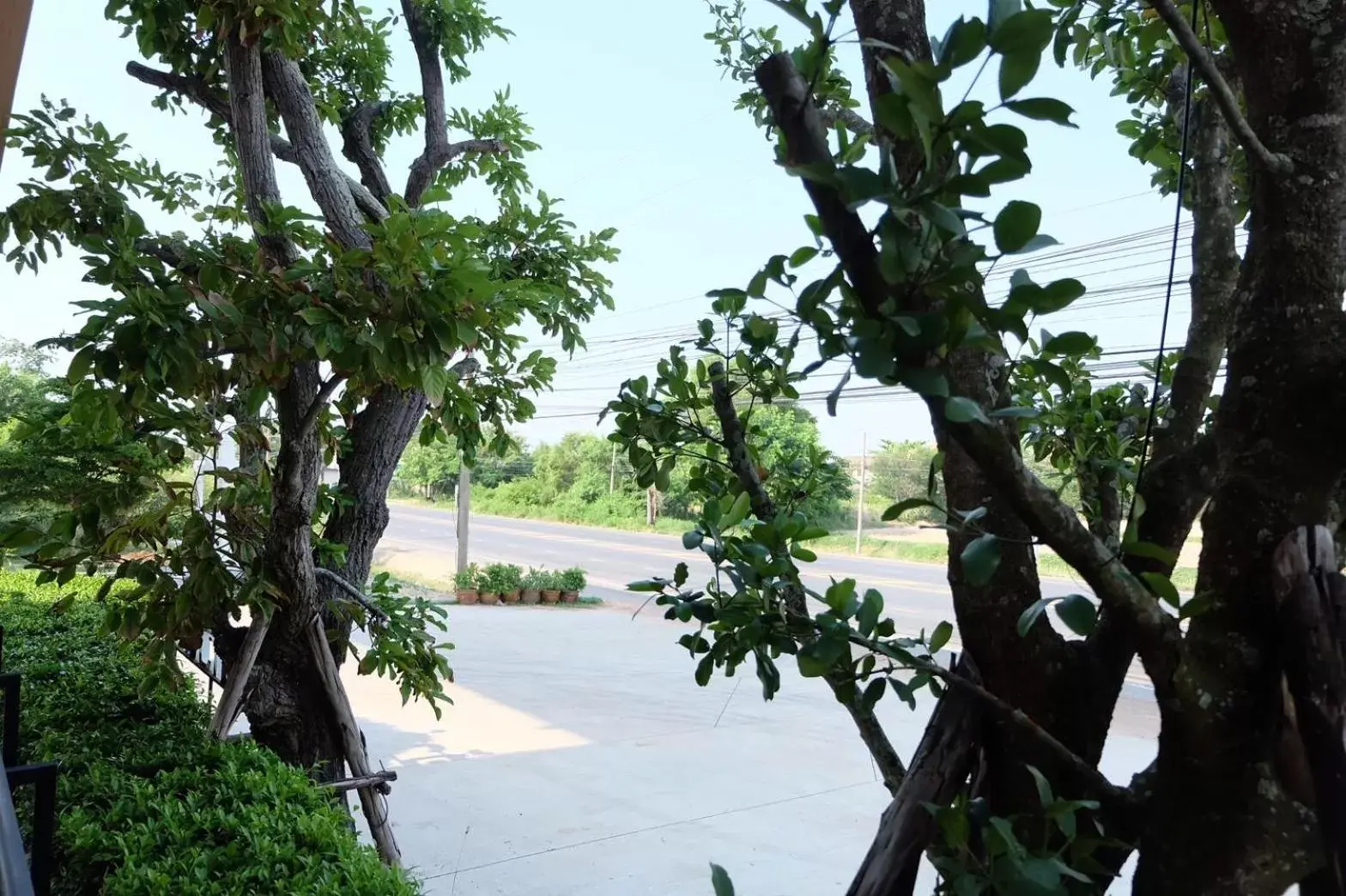 De Vine House De Vine House