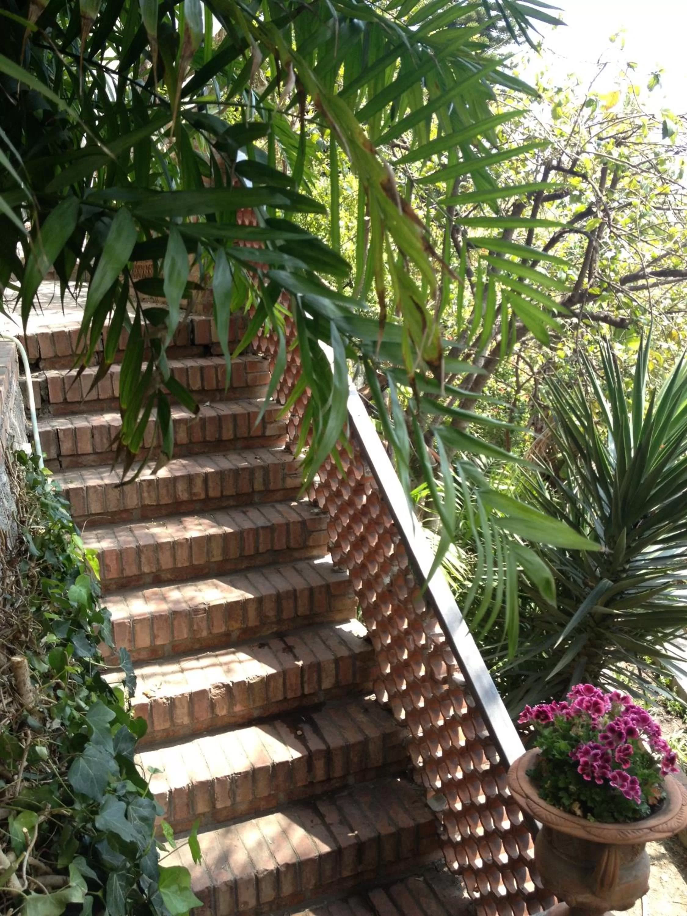 Garden in Villa Greta Hotel Rooms & Suites