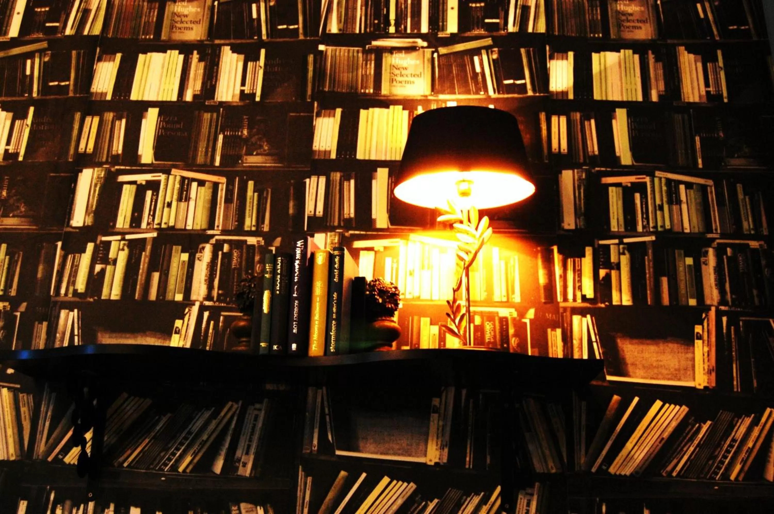 Decorative detail, Library in Cottonwood Boutique
