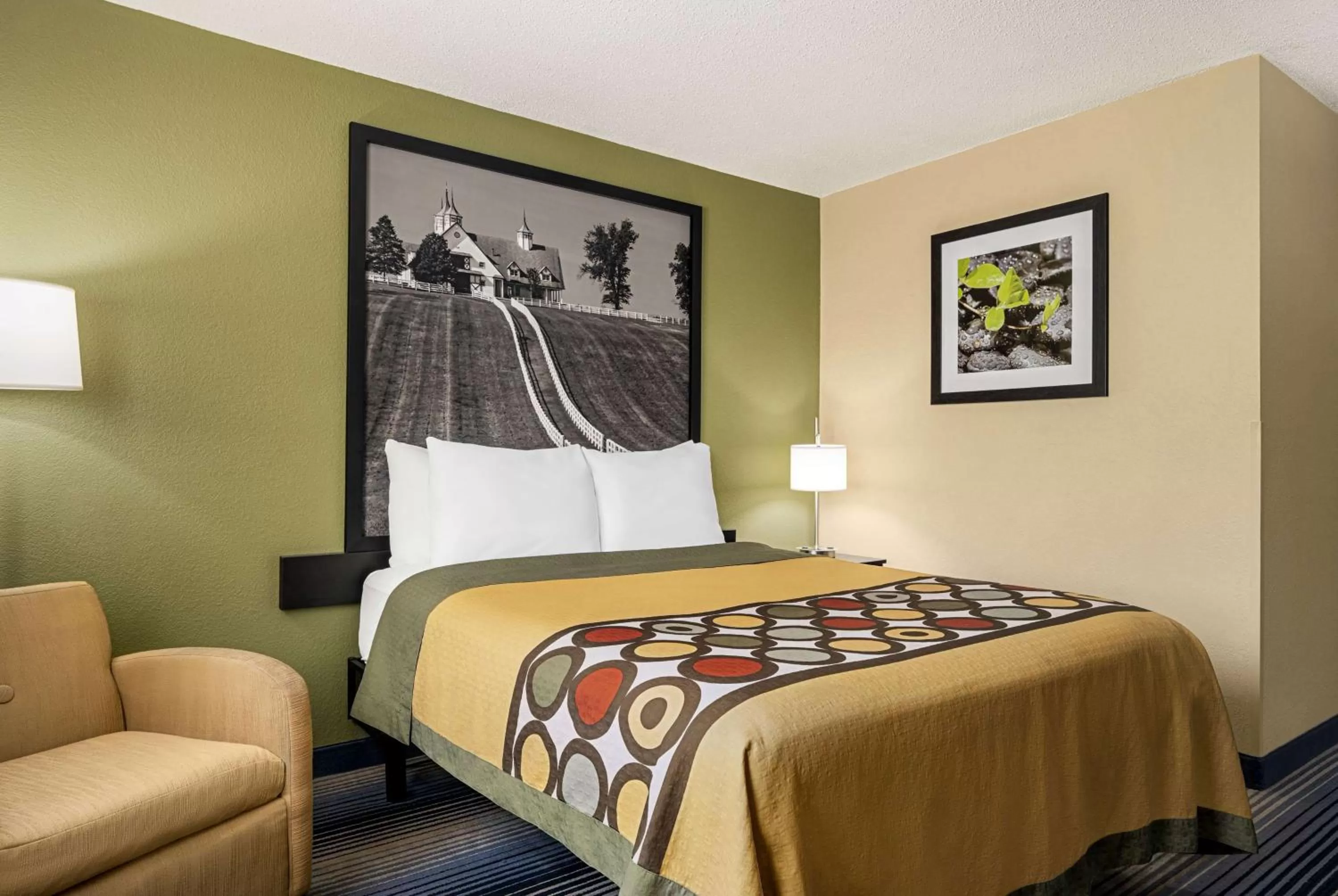 Bed in Super 8 by Wyndham Maysville KY