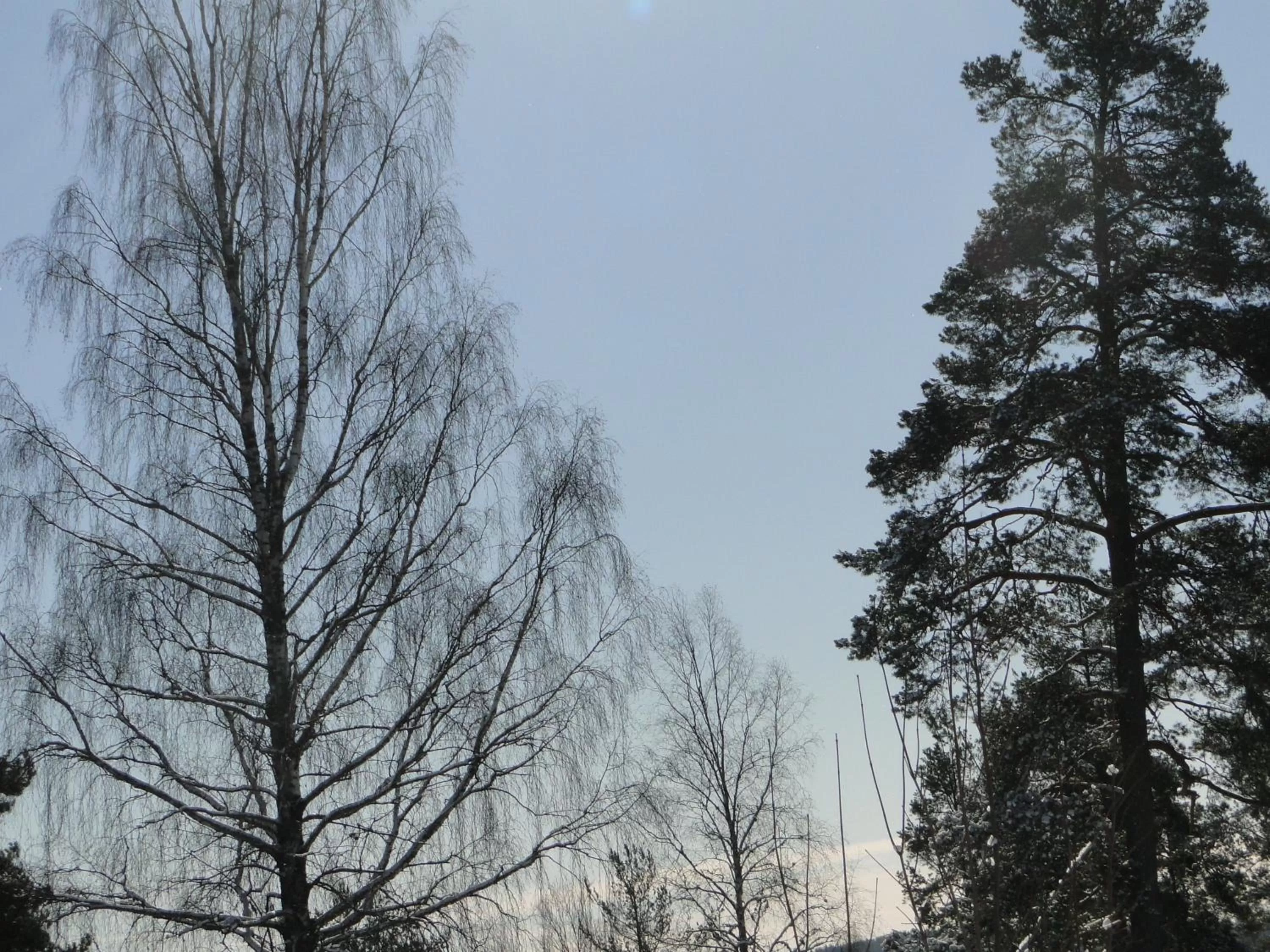 Day in Sunne Hembygdsgård B&B