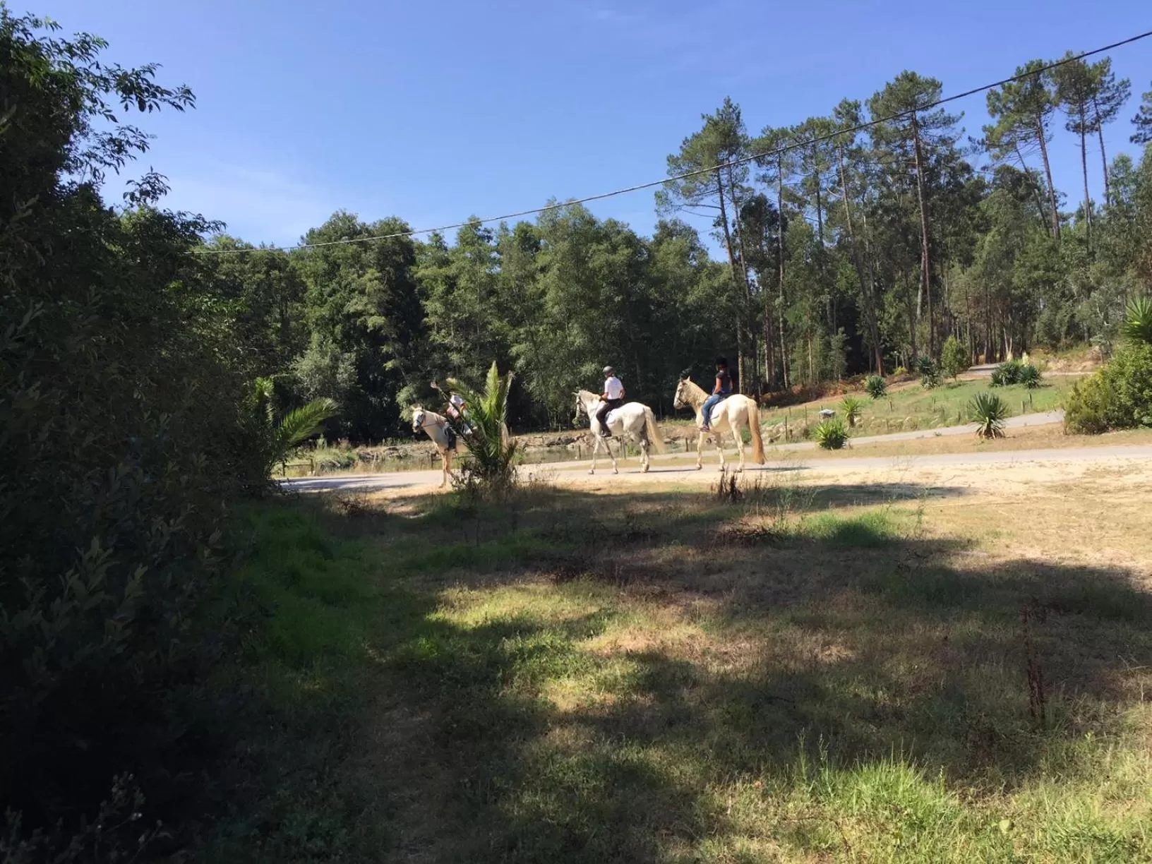 Coudelaria Residence