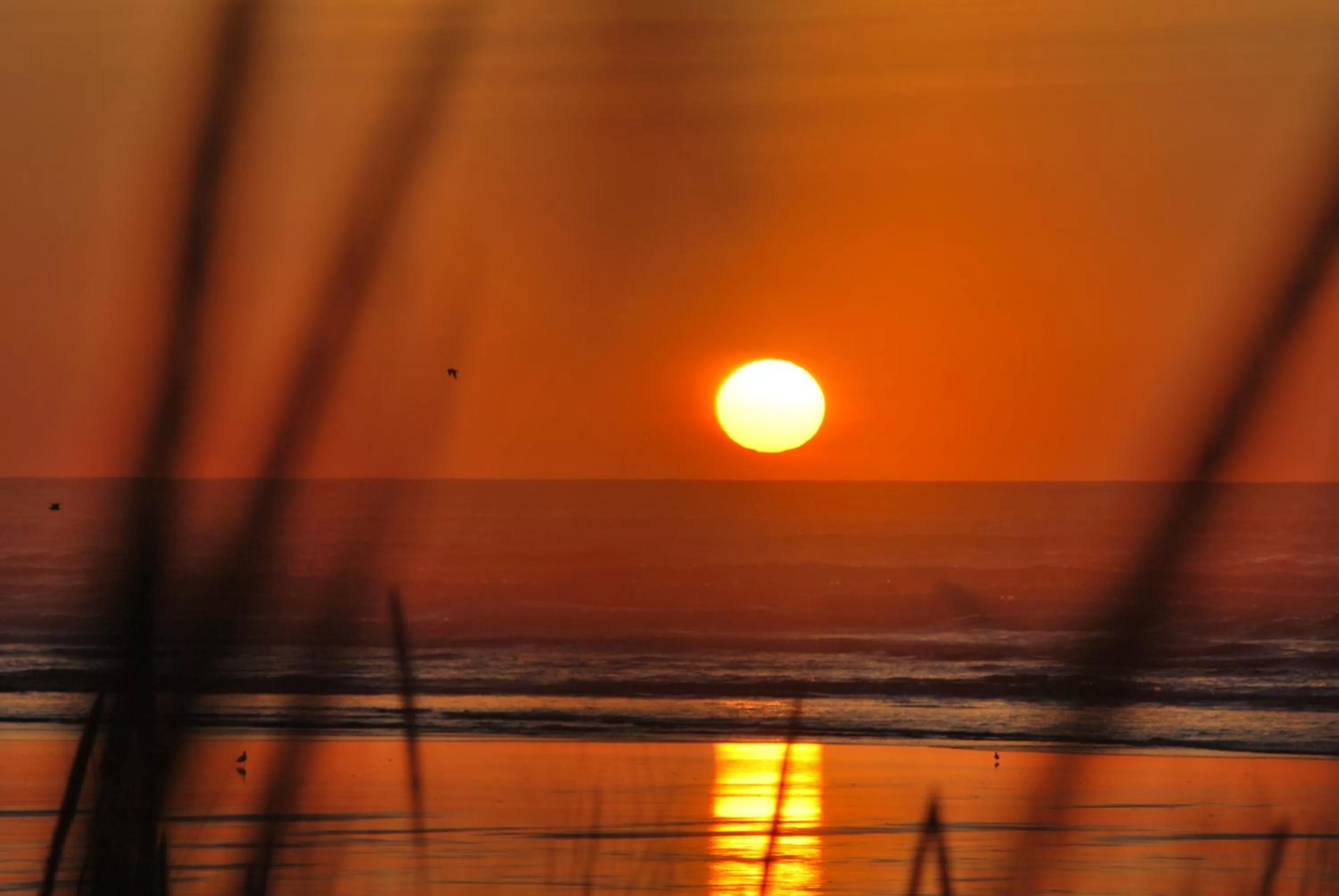 Area and facilities in Inn at the Shore
