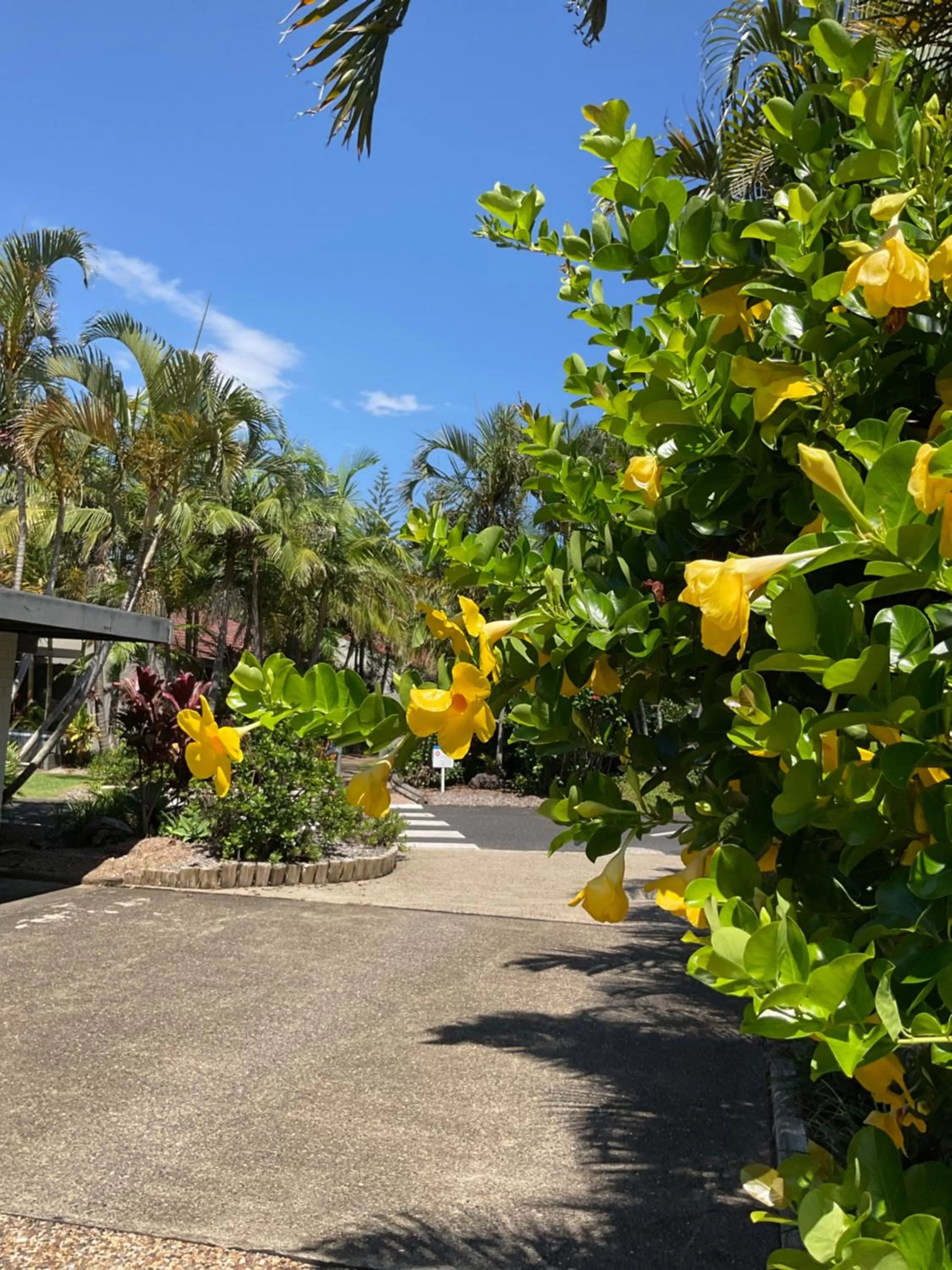 Private Suite Nautilus Beach Front Resort