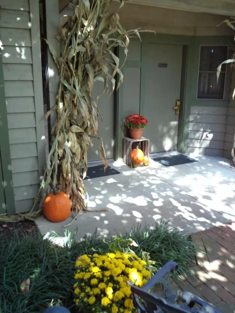 Garden view in The Inn & Spa at Intercourse Village