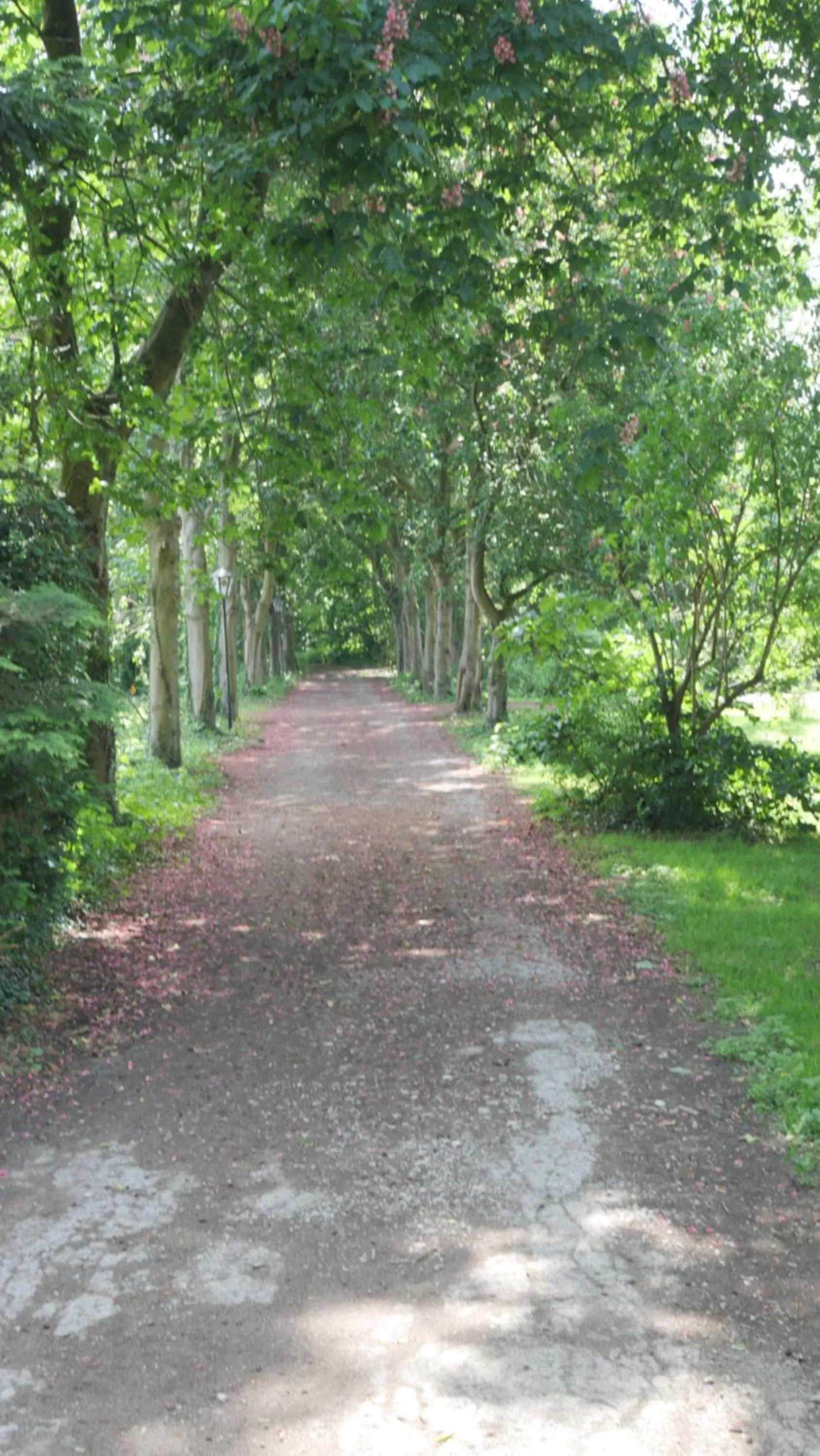 Natural landscape in Hotel Schloss Diepenbrock