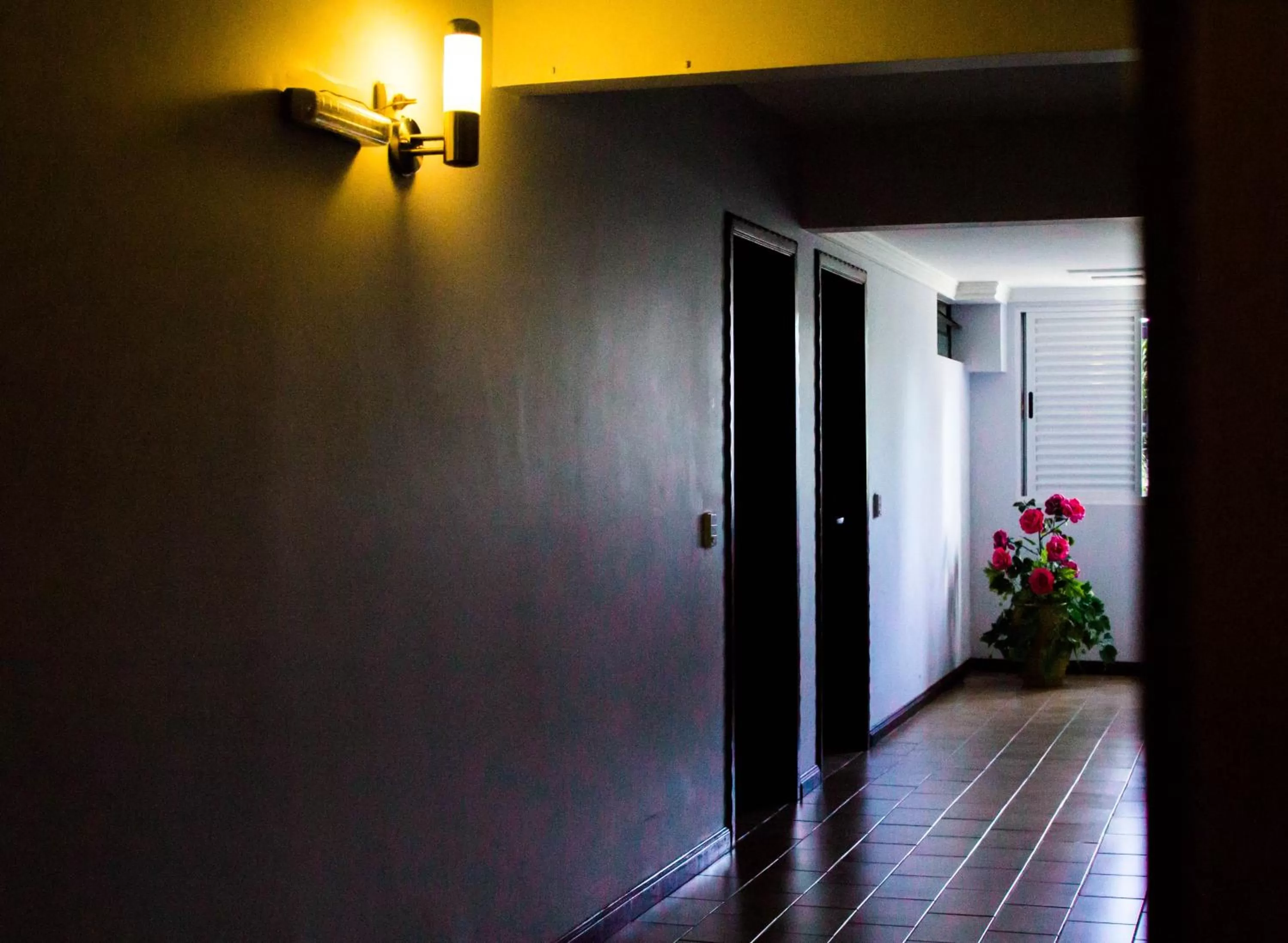 Area and facilities in Hotel Baviera Iguassu