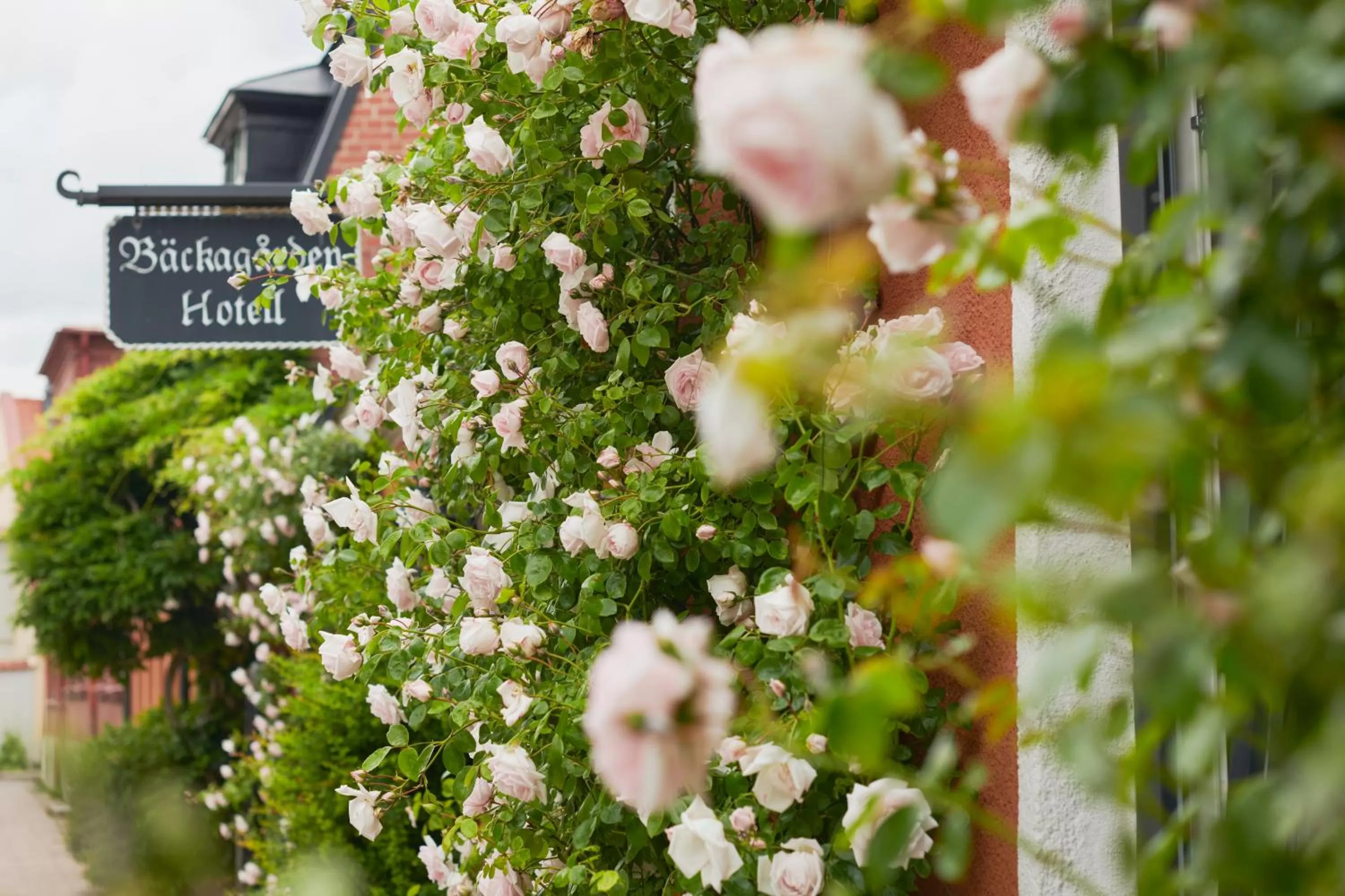 Property building in Hotell Bäckagården