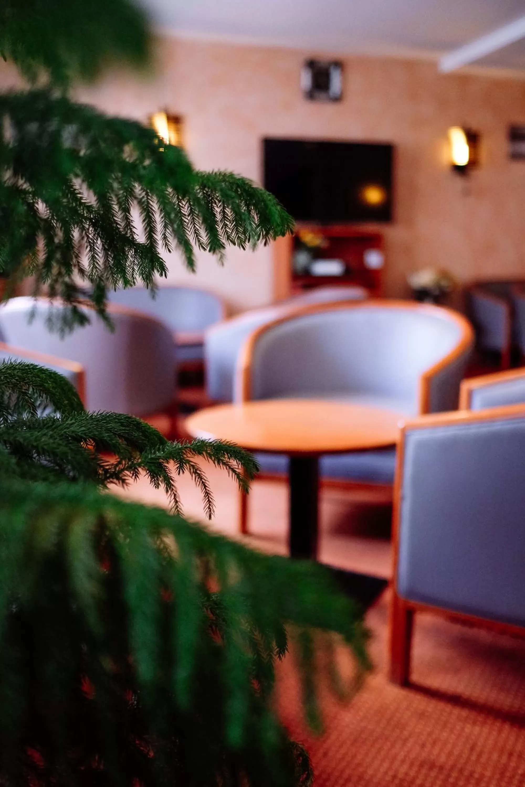 Lounge or bar in Hôtel Pedussaut