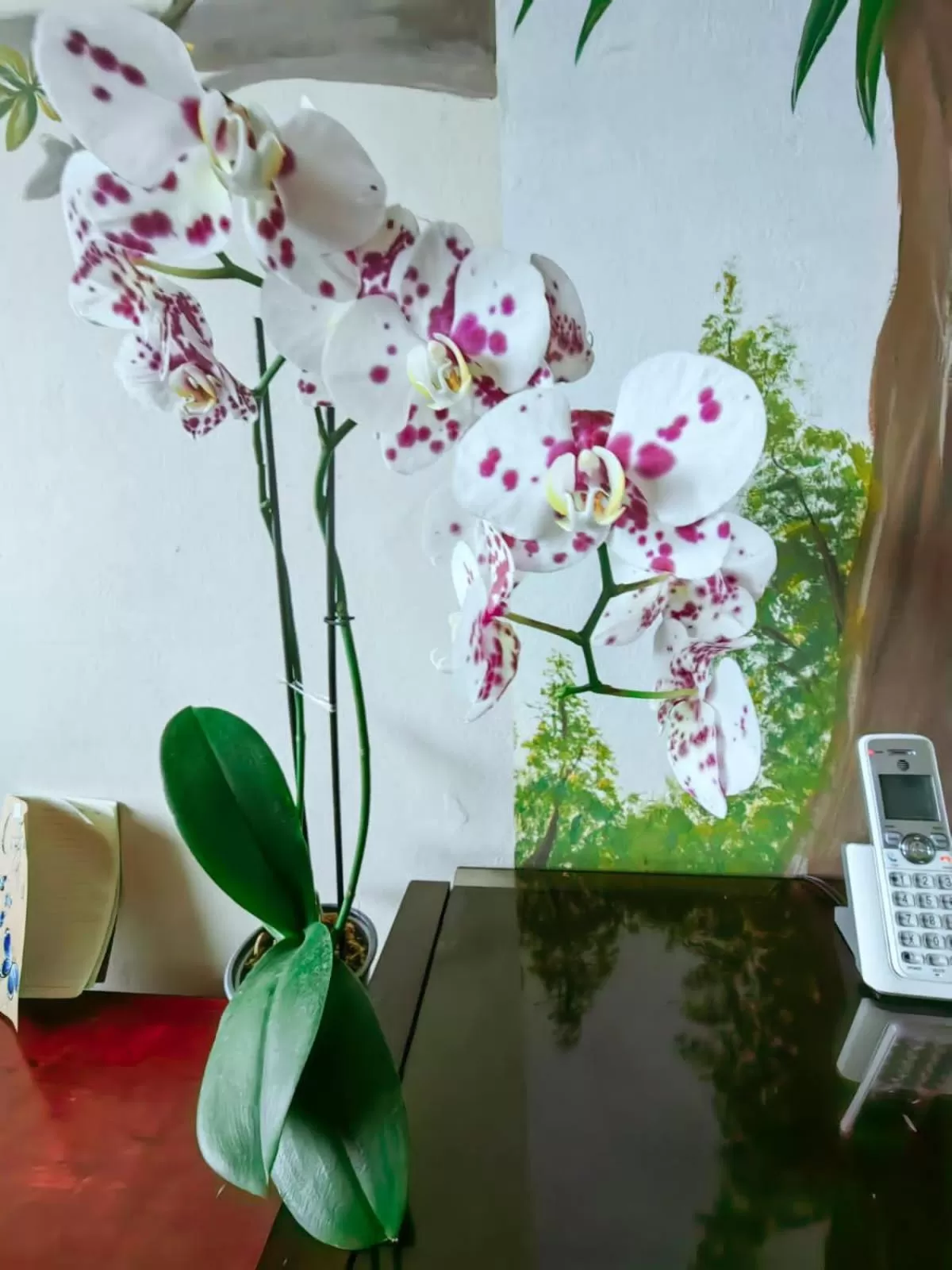 Property building in Hotel Casa Tago