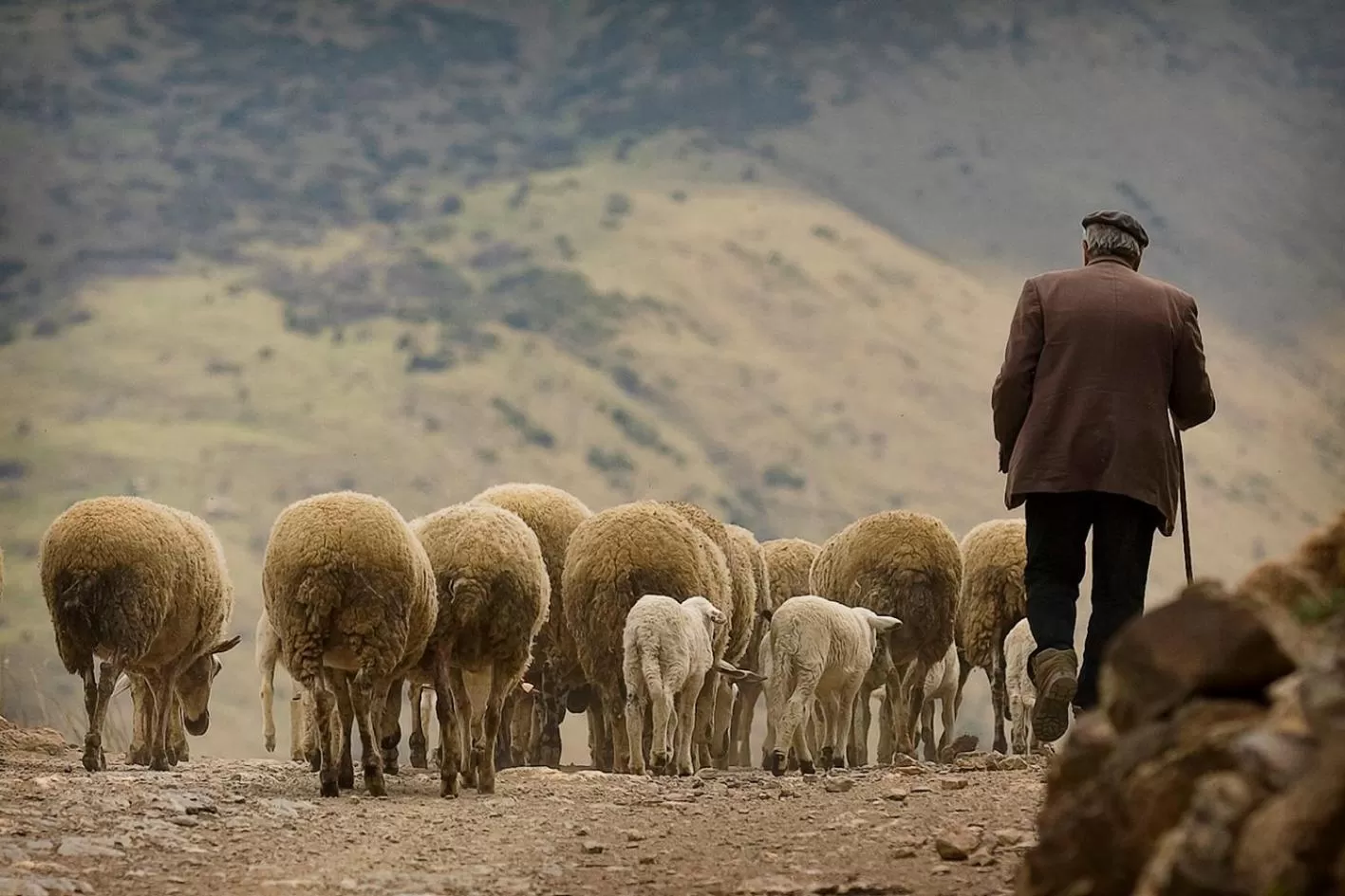 People in Hotel Restaurant Les Brases