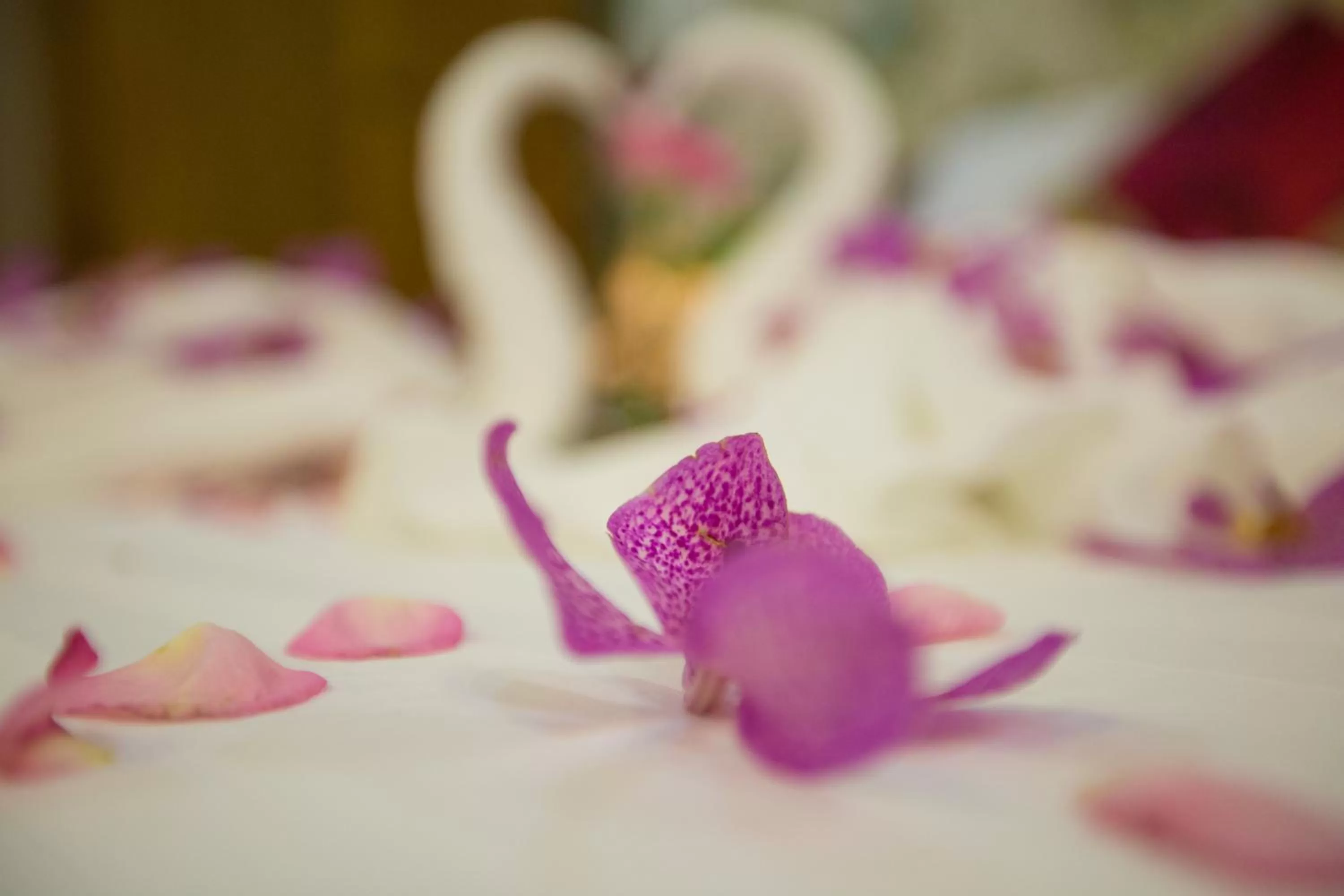 Other in The Airport Hotel