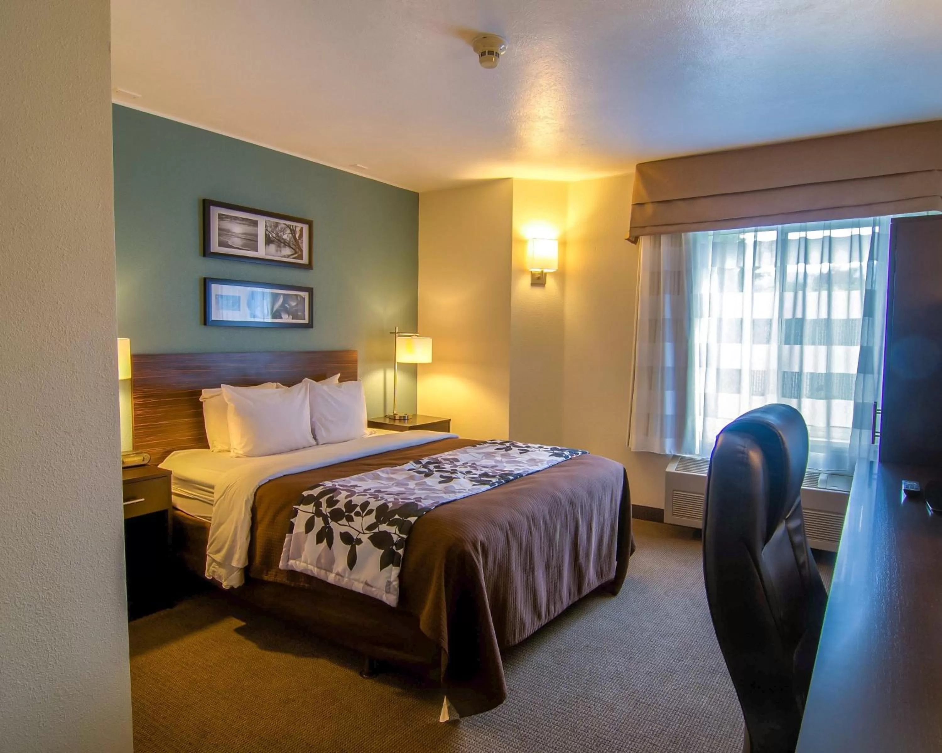 Queen Room - Non-Smoking in Sleep Inn near Washington State Line