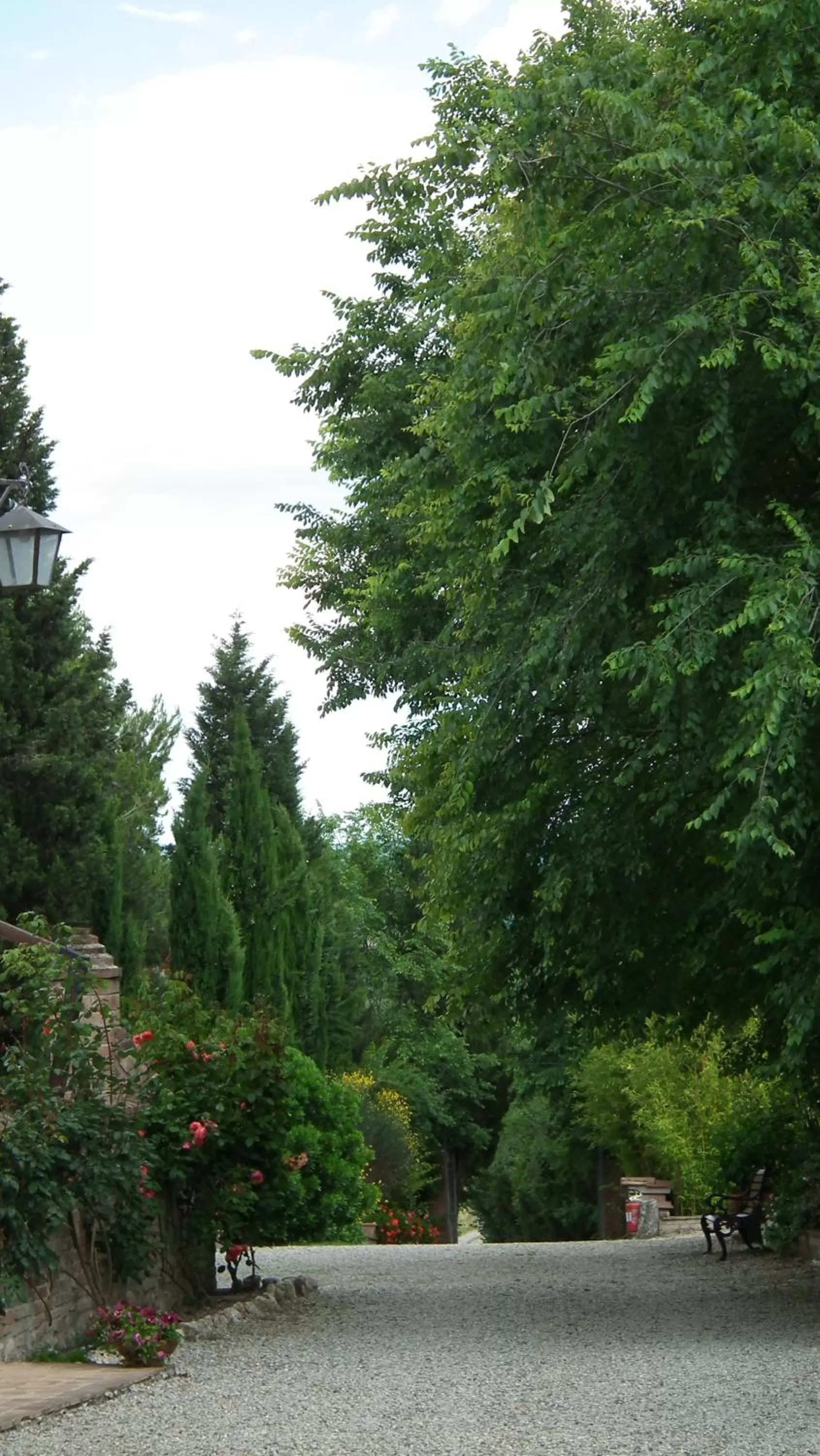 Day in Il Canto del Sole