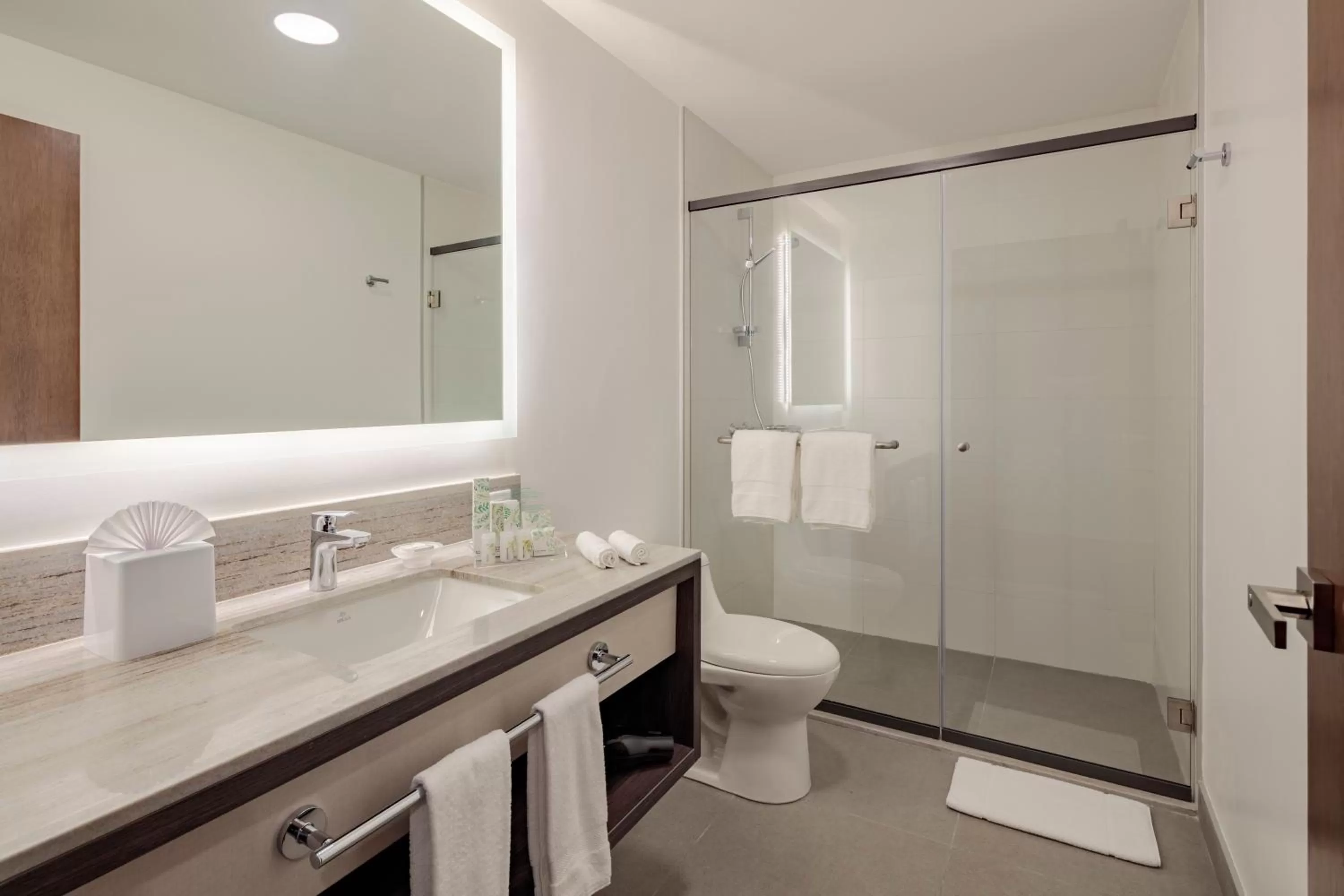 Bathroom in Holiday Inn - Quito Airport by IHG
