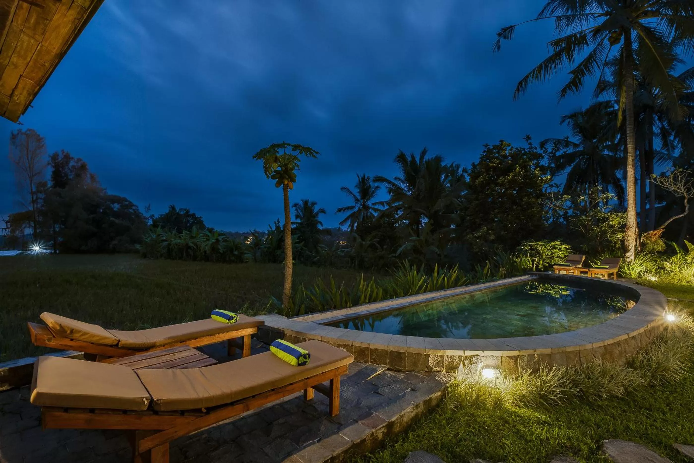 Swimming pool in Joglo Organik Guesthouse