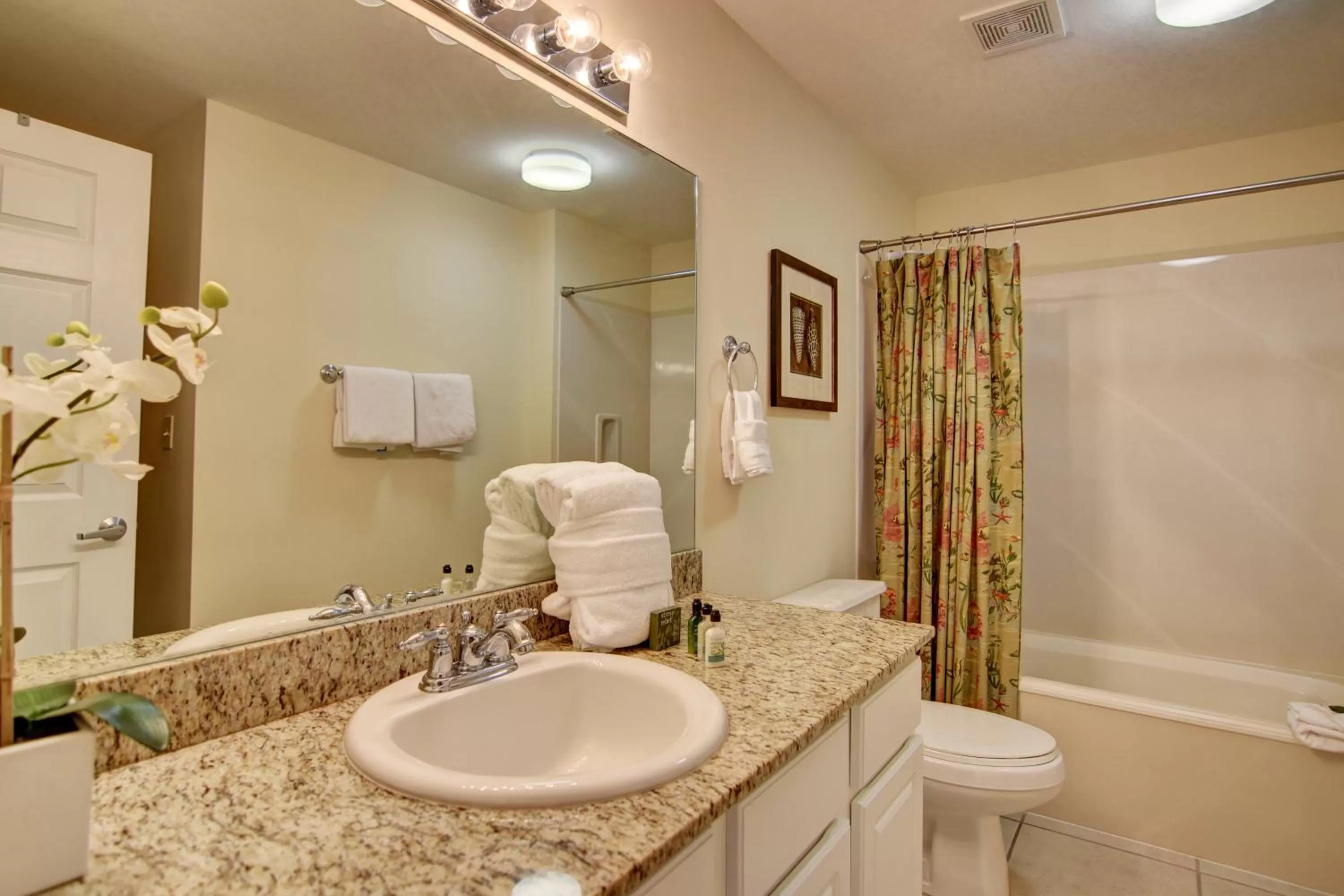 Two Bedroom Apartment  in Calypso Resort