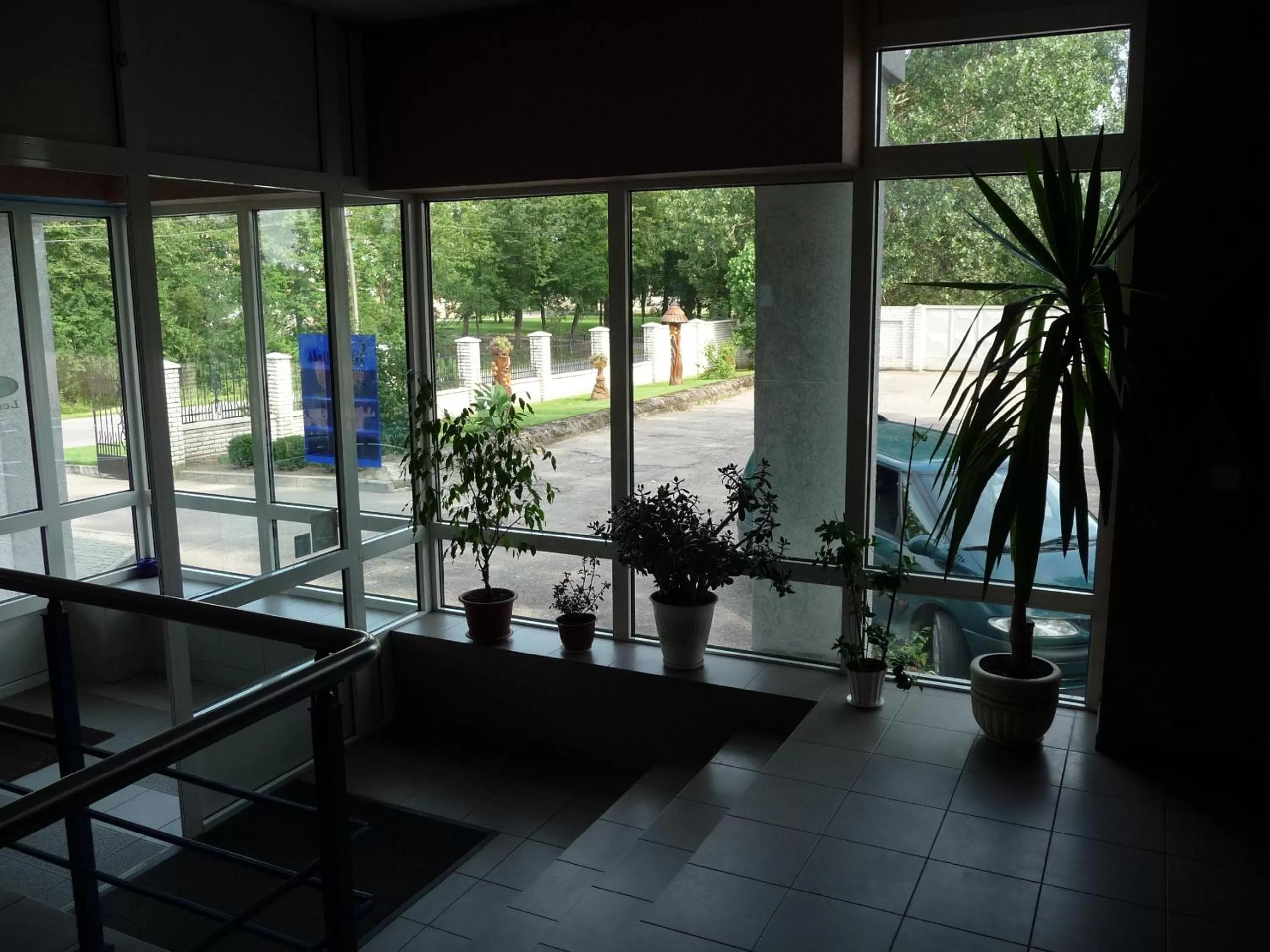 Summer in Skaistažiedė