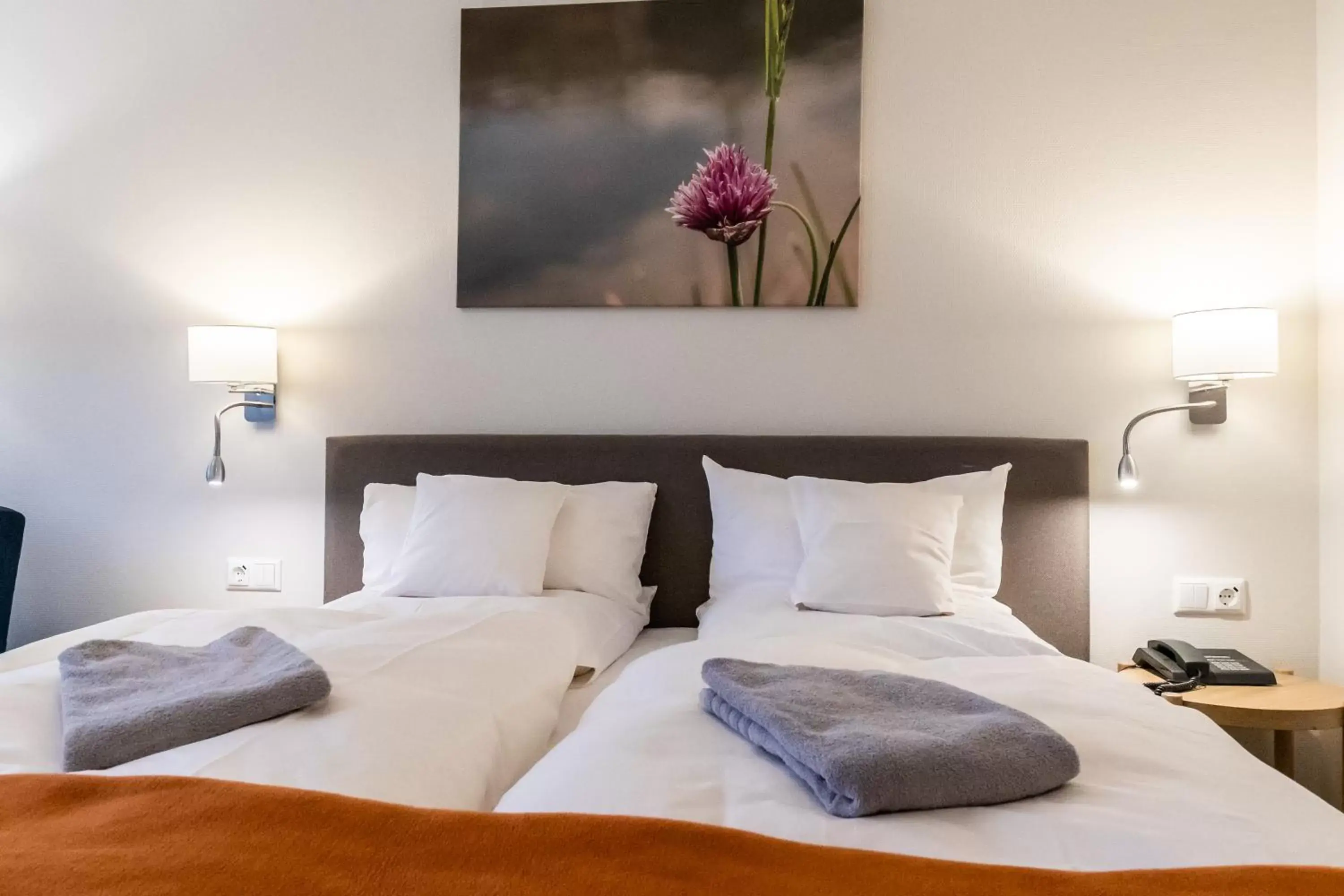 VitalHotel Ascona VitalHotel Ascona