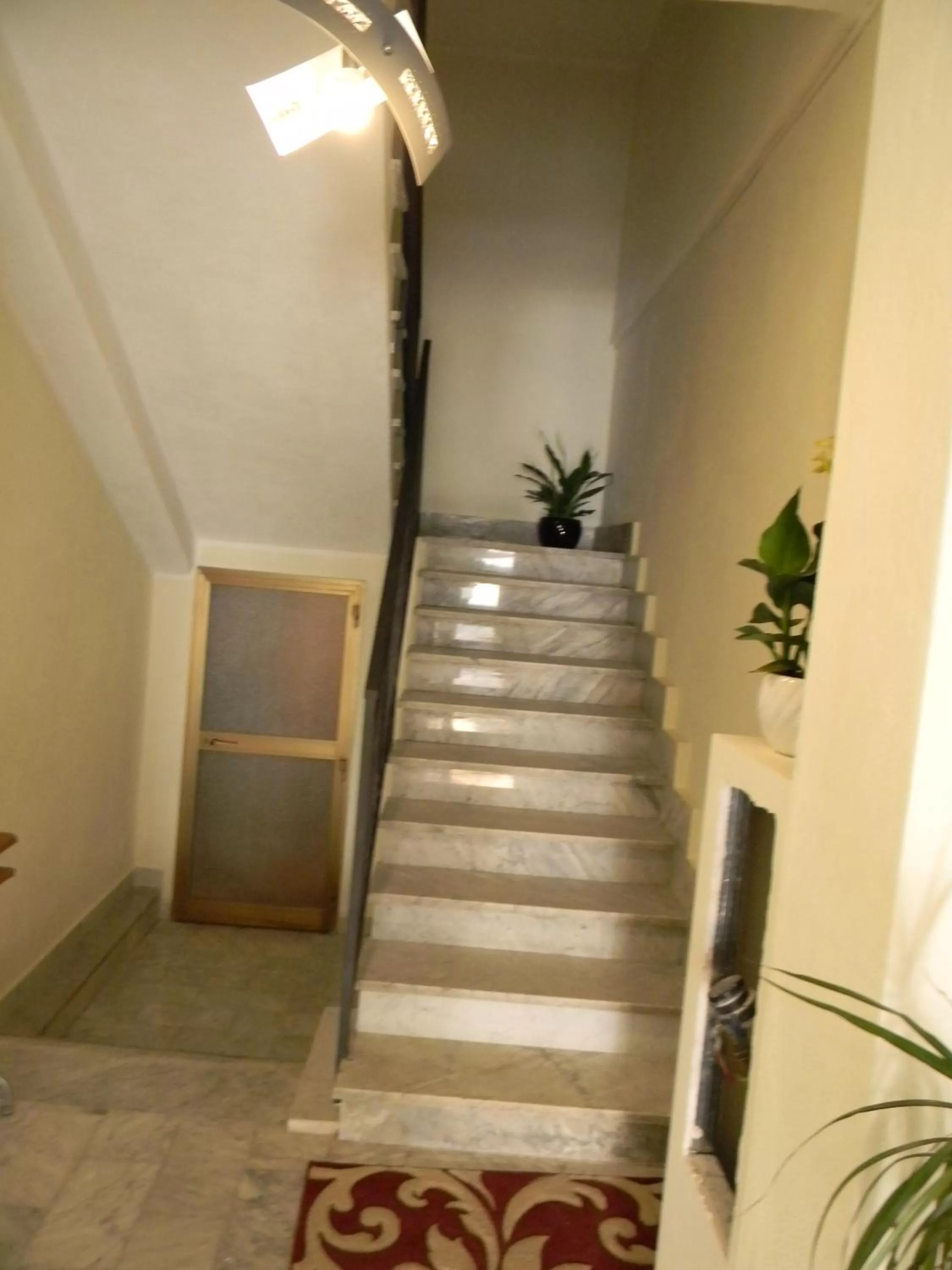 Area and facilities in Tropeacentro